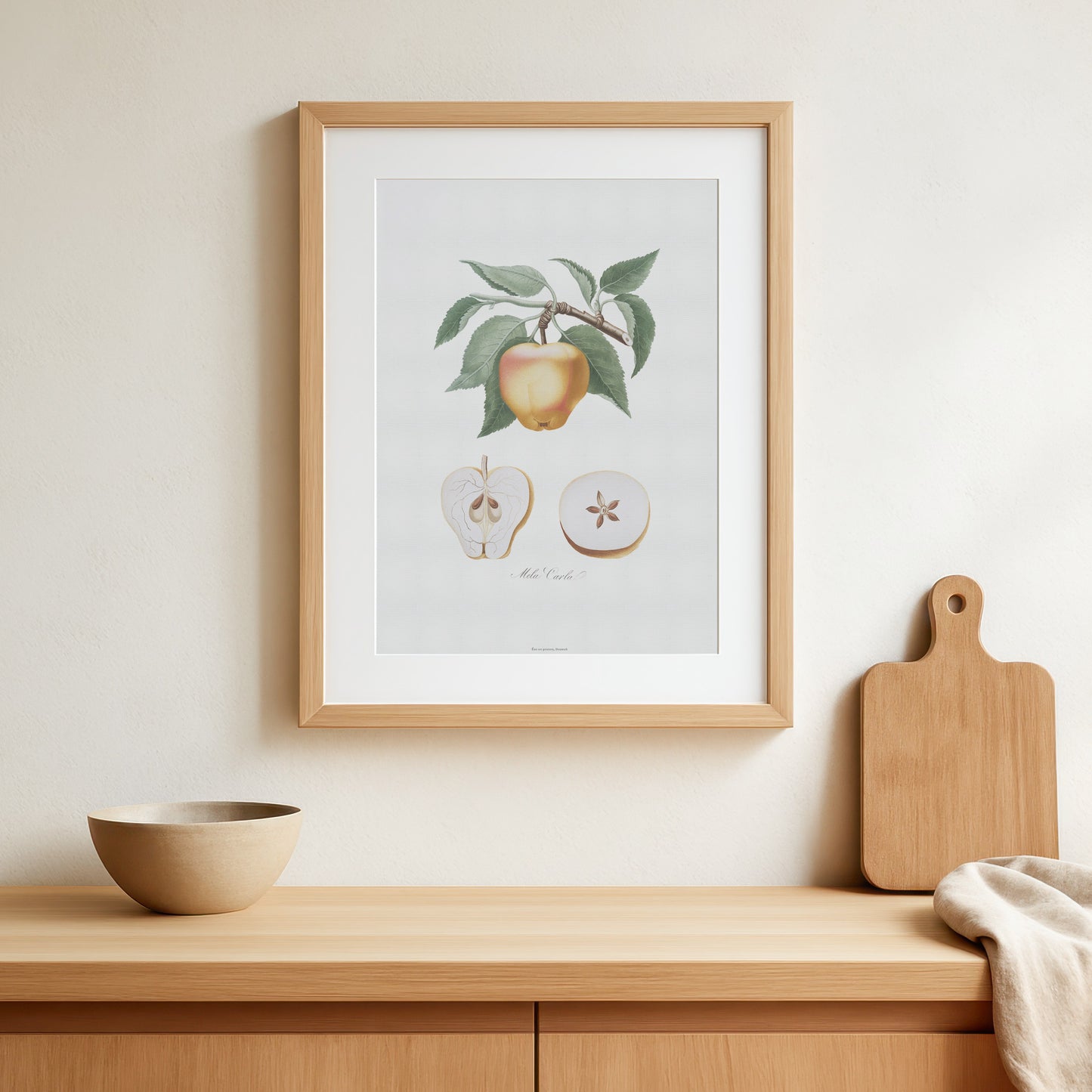 Vintage Æble Plakat - 'Mela Carla' fra Pomona Italiana (1817-1839) | Botanisk Kunst