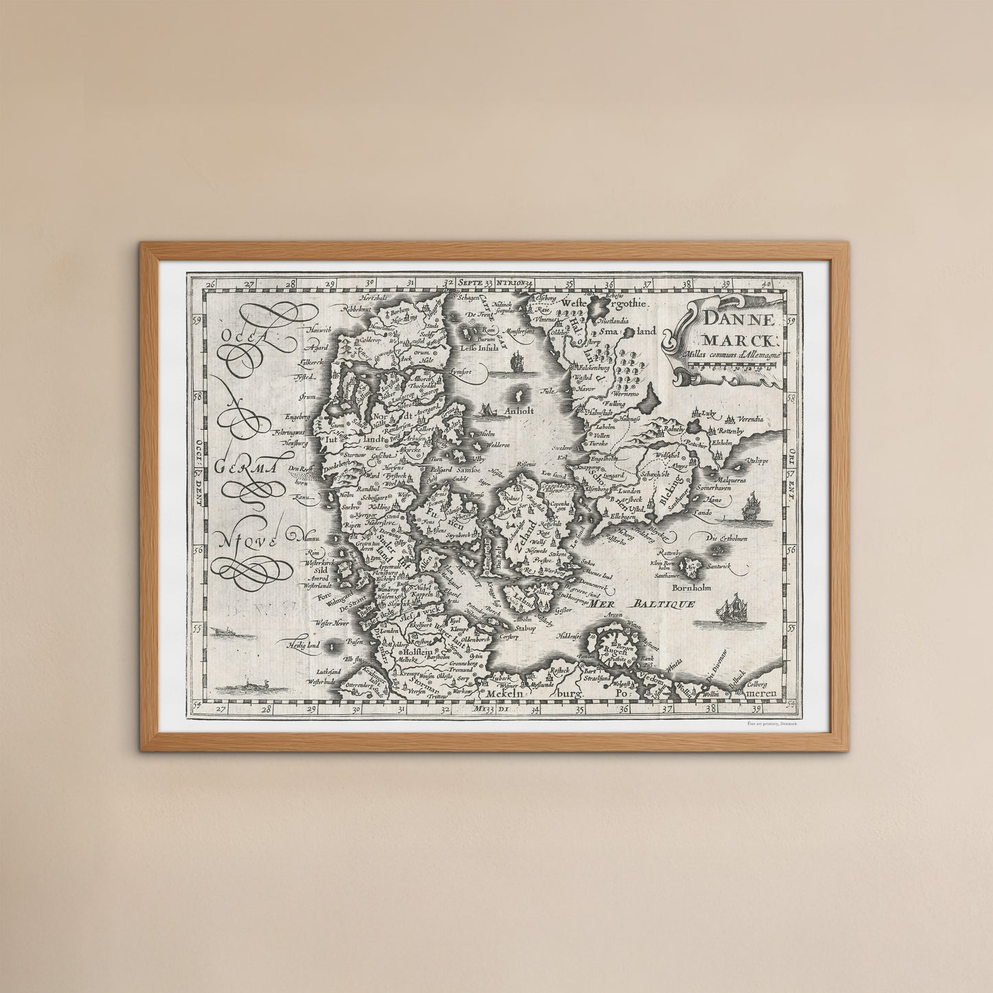 Dannemarck, 1734 - Map of Denmark