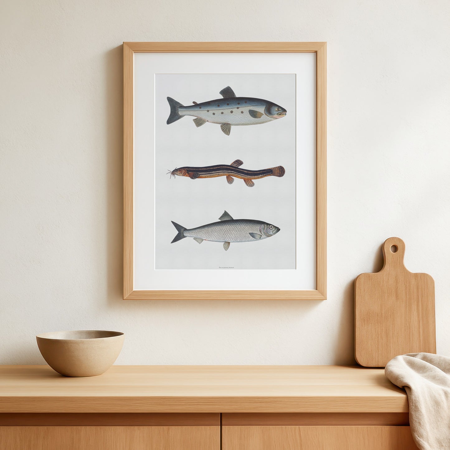Vintage Fiskeplakat - Laks, Dyndsmerling & Sild - Historisk Kunsttryk af Bloch 1782-84