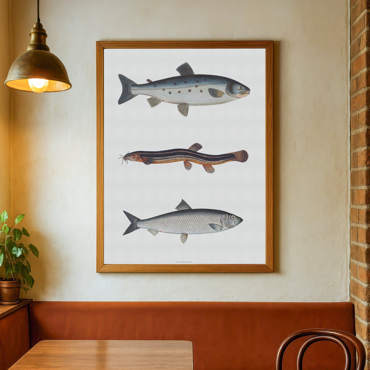 Vintage Fiskeplakat - Laks, Dyndsmerling & Sild - Historisk Kunsttryk af Bloch 1782-84