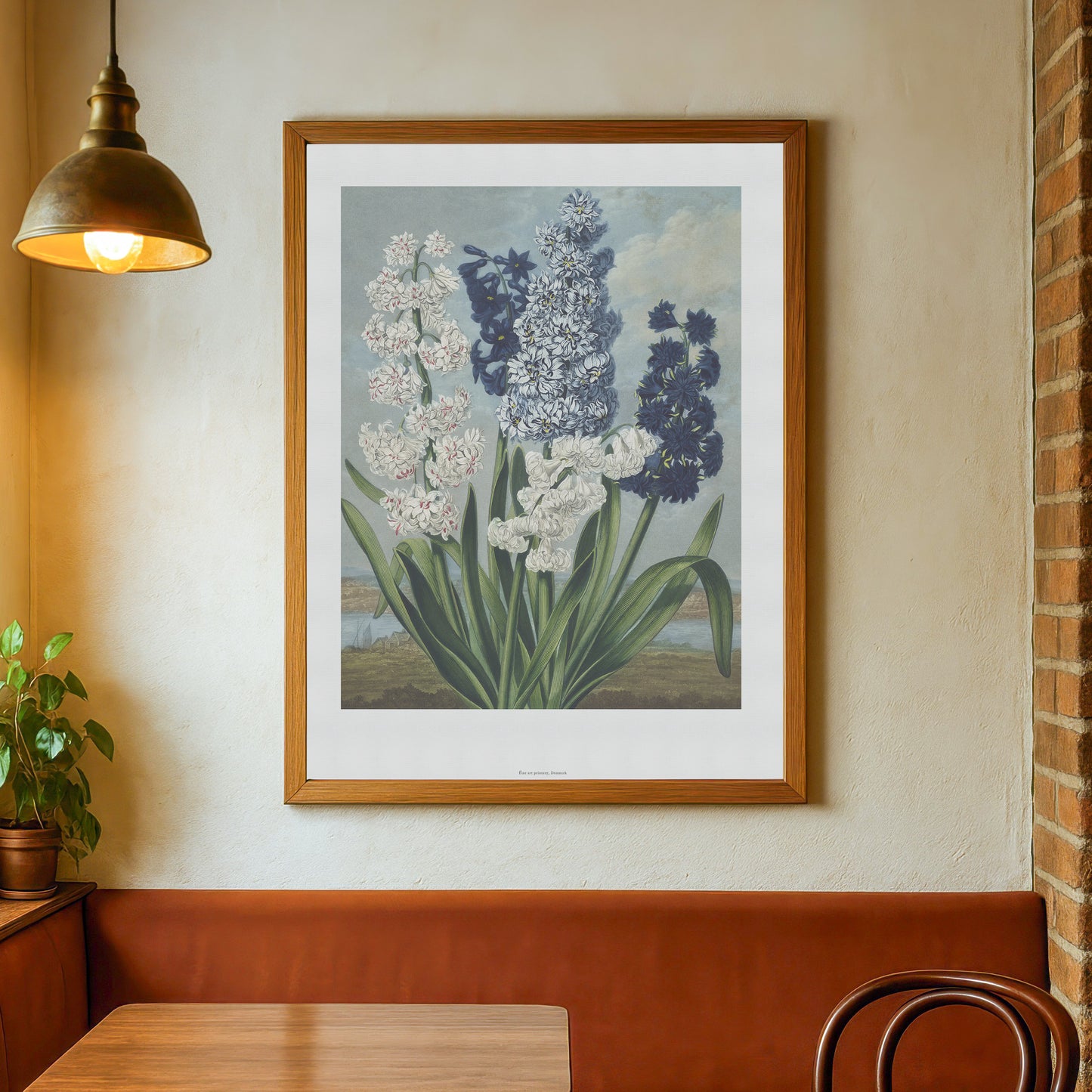 Vintage Hyacint Plakat - Hyacinths from The Temple of Flora (1837) | Robert John Thornton