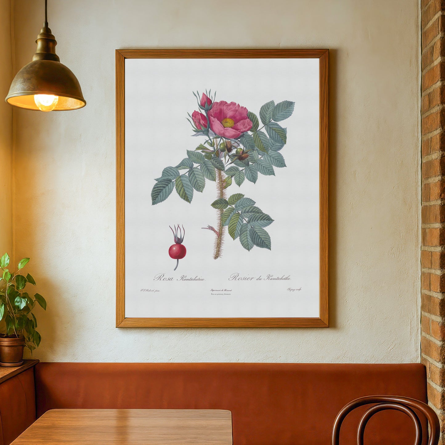 Vintage Kamtschatka Rose Plakat - Rosier de Kamtschatka | Pierre-Joseph Redouté Botanisk Kunst
