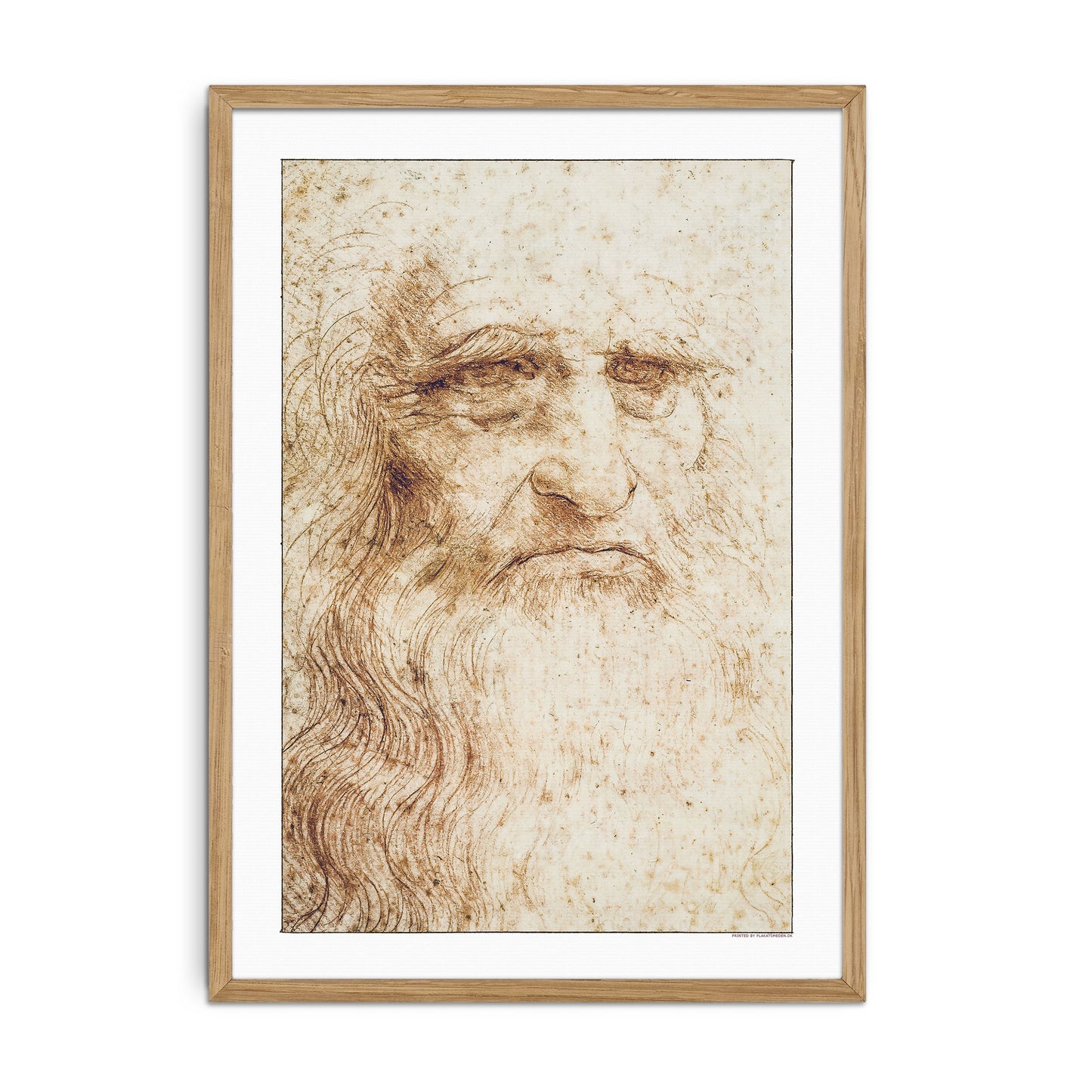 Leonardo da Vincis selvportræt