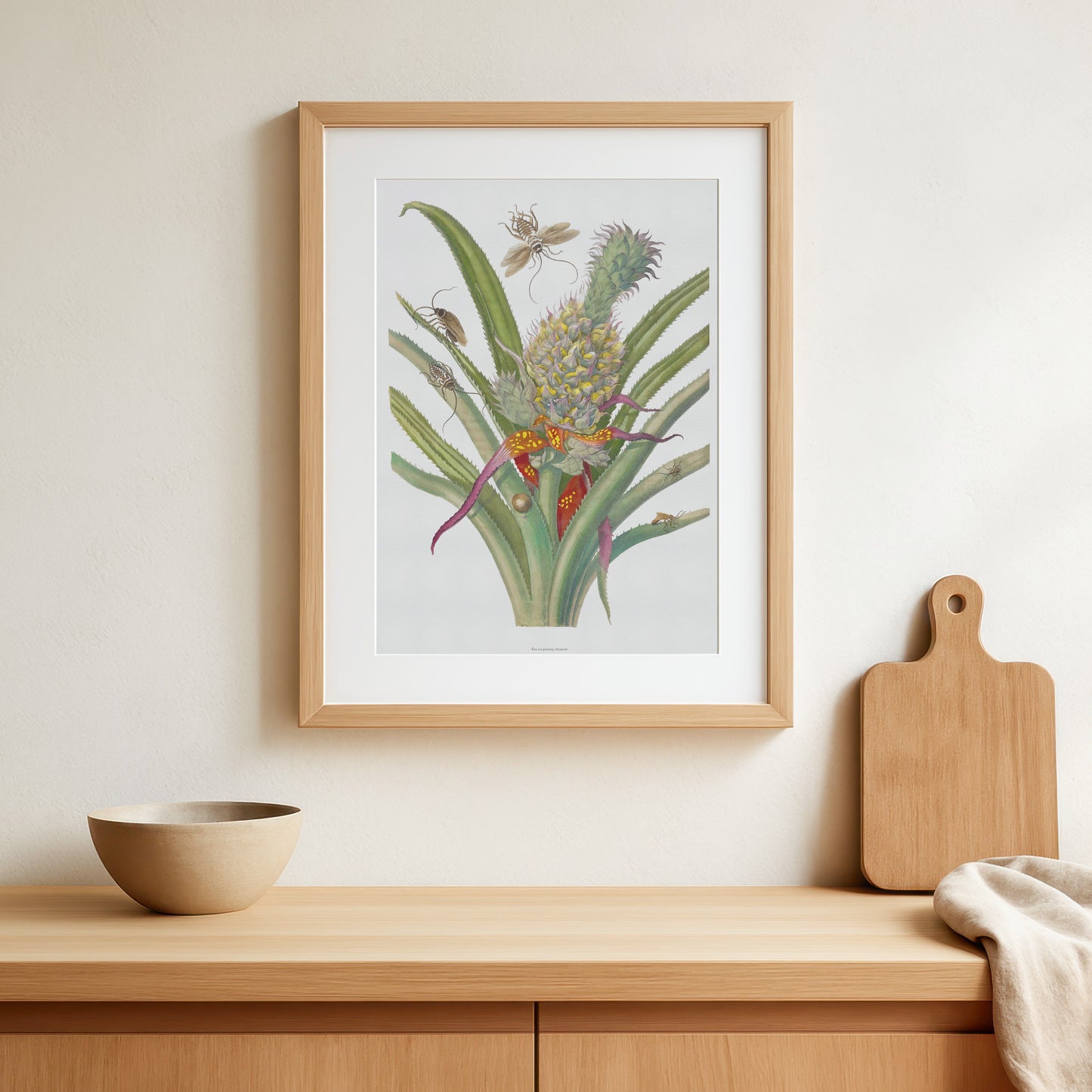 Vintage Ananas med insekter Plakat - Maria Sibylla Merian | Botanisk og Entomologisk Kunst