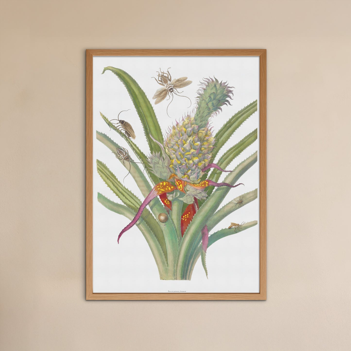 Vintage Ananas med insekter Plakat - Maria Sibylla Merian | Botanisk og Entomologisk Kunst