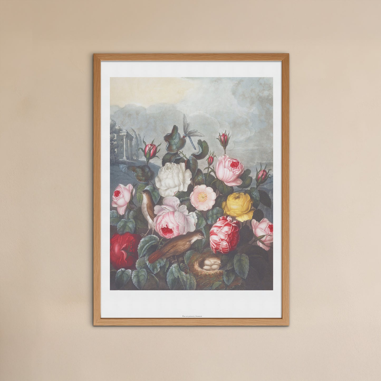 Vintage Rose Plakat - Roser og Fugle fra The Temple of Flora (1837) | Robert John Thornton