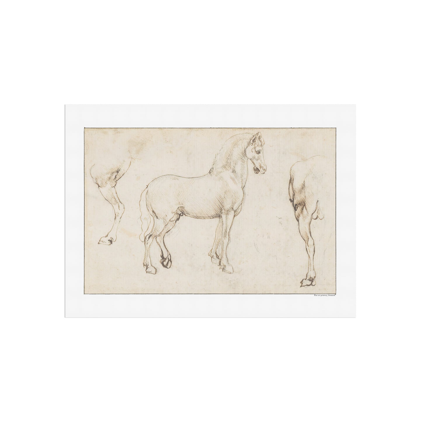 Leonardo da Vinci's Studies of Horses