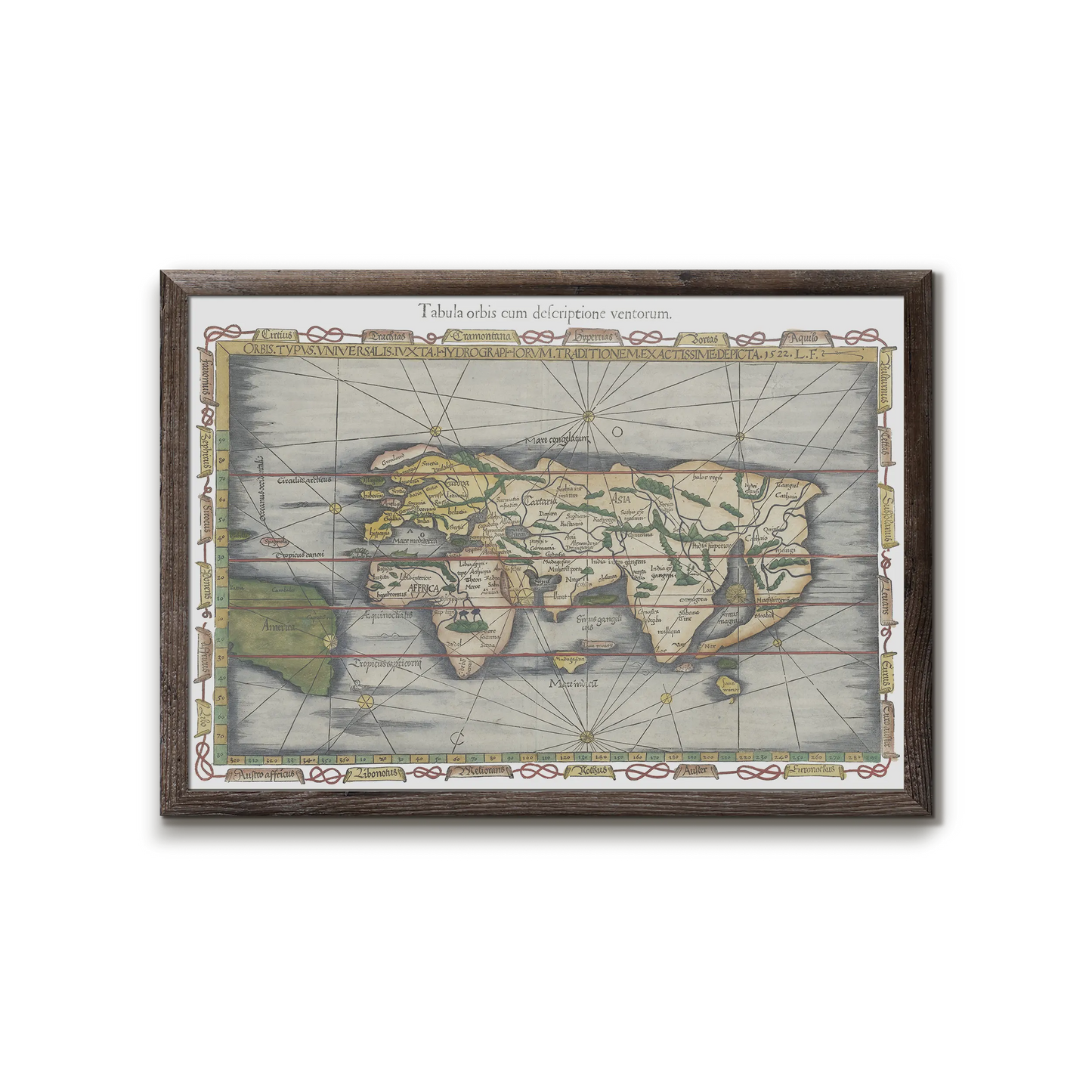 Tabula orbis, World Map by Lorenz Fries