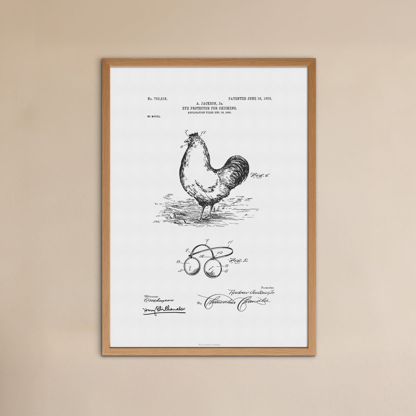 Patenttegning af Øjenbeskytter til Høns (1902) – US730918A
