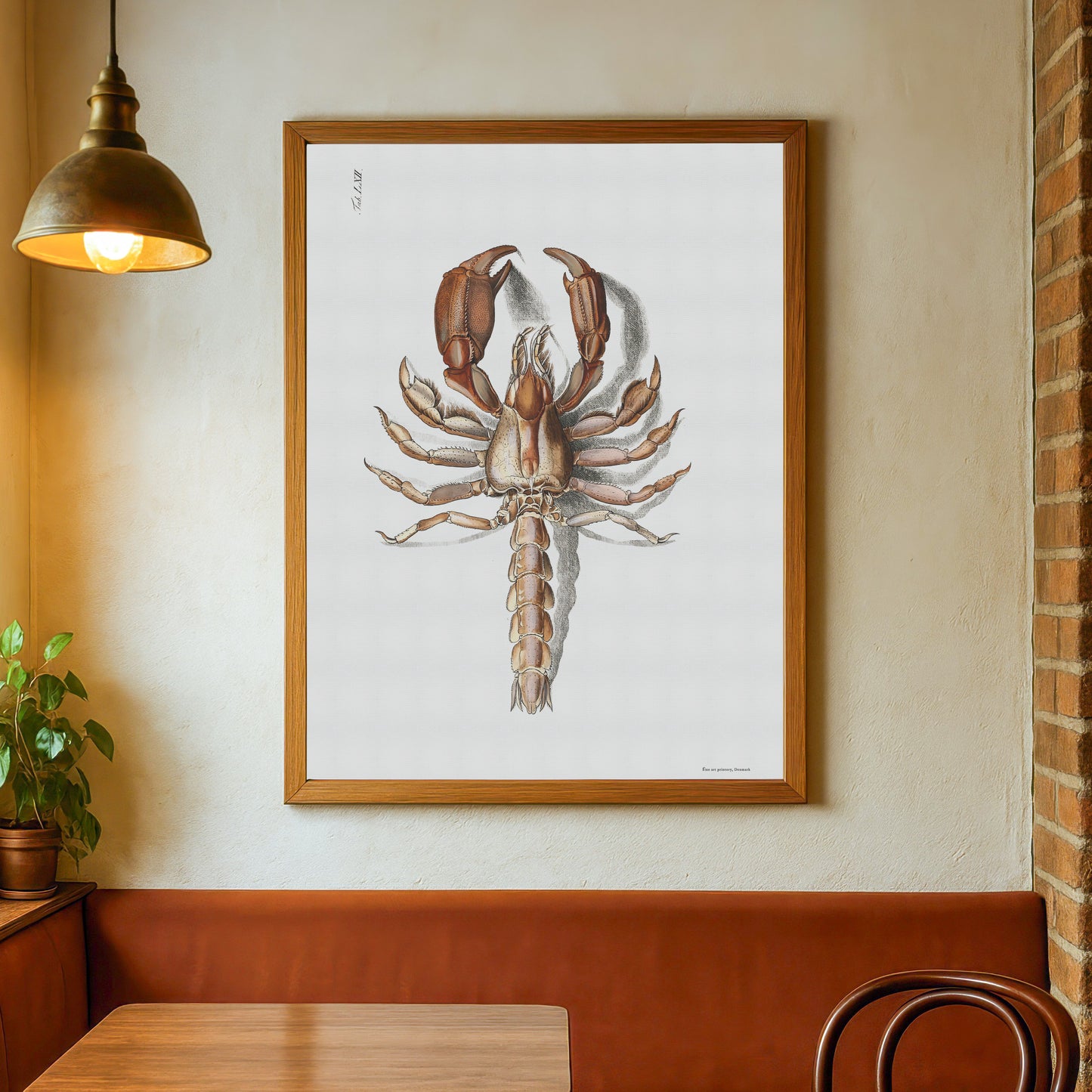 Hummer plakat - Thalassina anomala