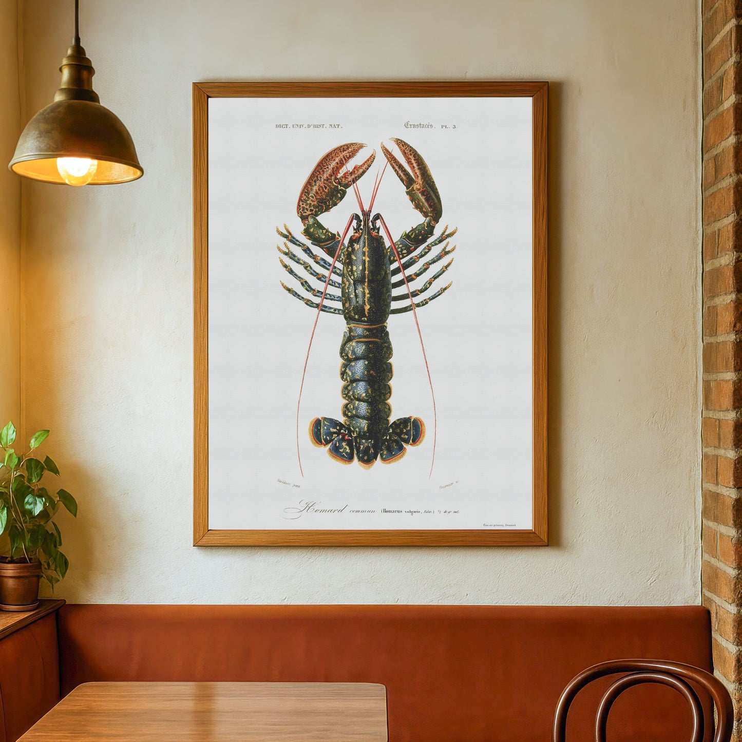 Lobster poster - Homarus vulgaris