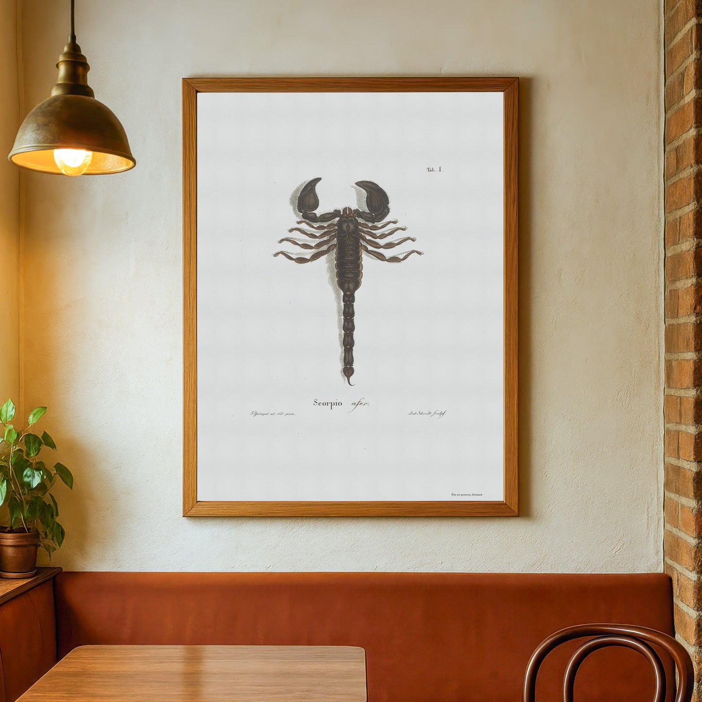 Scorpio - Scorpio afer