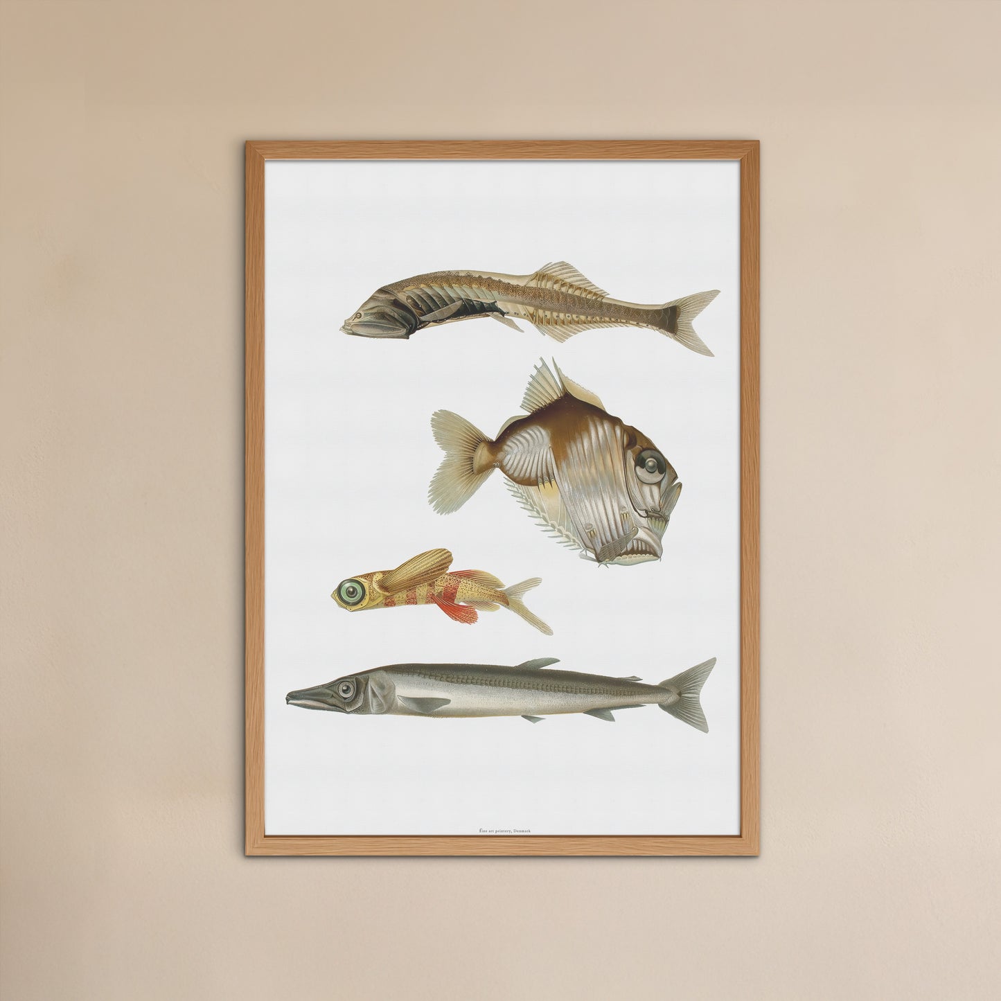 Vintage Fiske Plakat - Mystiske Dybhavsfisk og Flyvefisk (1911)