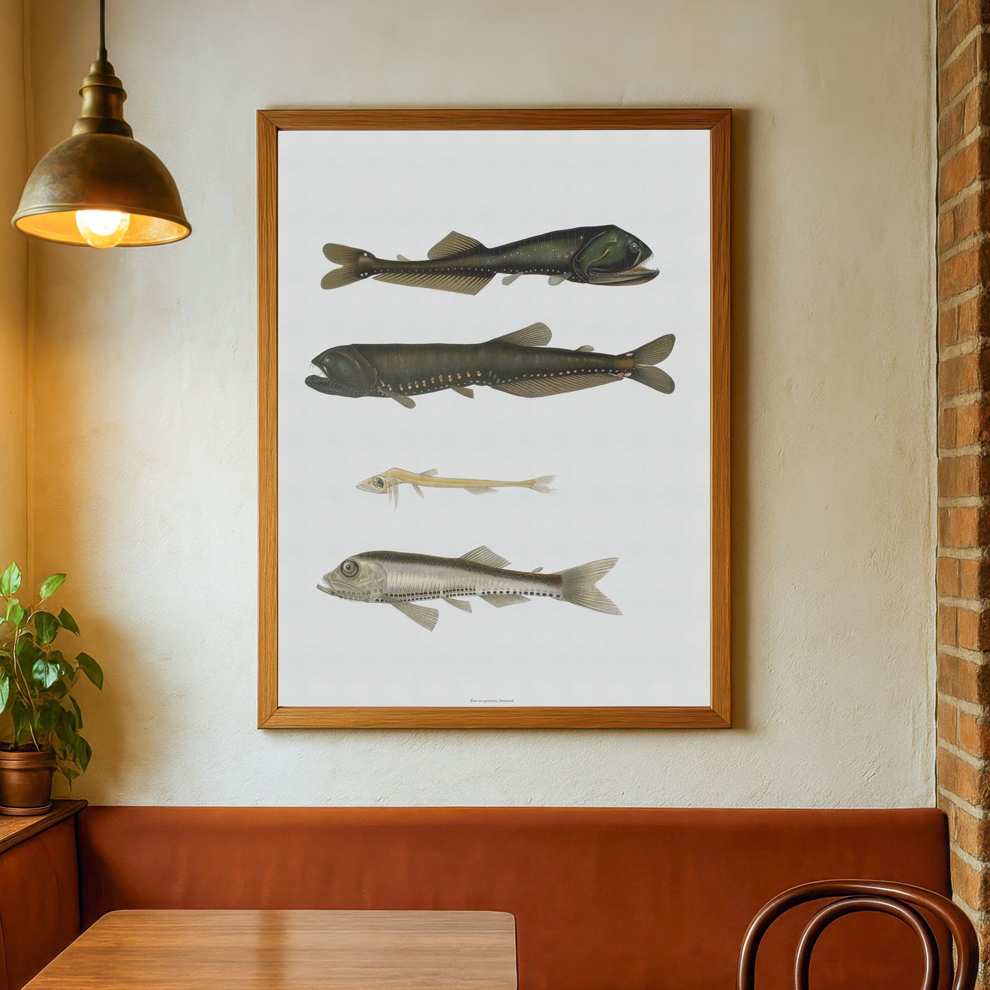 Vintage Dybhavsfisk Plakat - Lysende Fisk (1911) | Oceanografisk Vægkunst