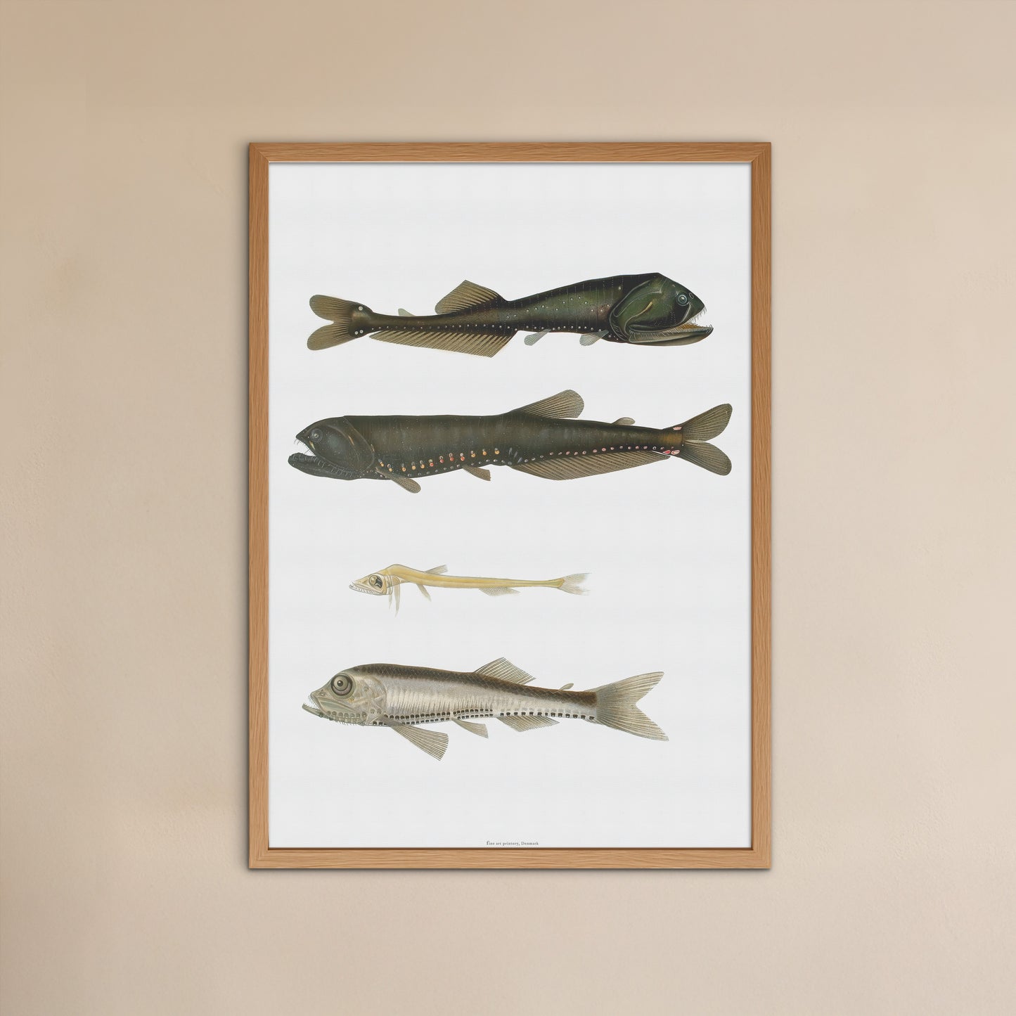 Vintage Dybhavsfisk Plakat - Lysende Fisk (1911) | Oceanografisk Vægkunst