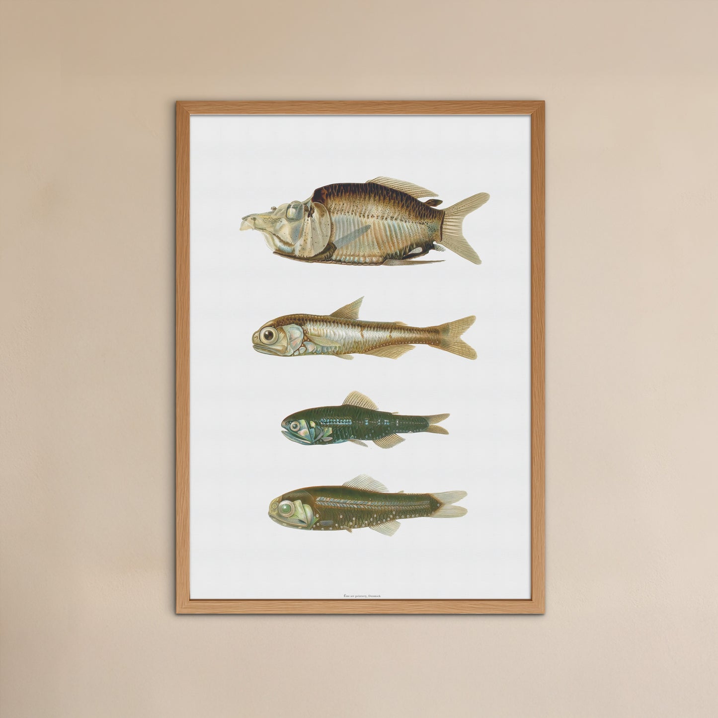 Vintage Dybhavsfisk Plakat - Lanternfish og Rovfisk (1911) | Oceanografisk Kunst