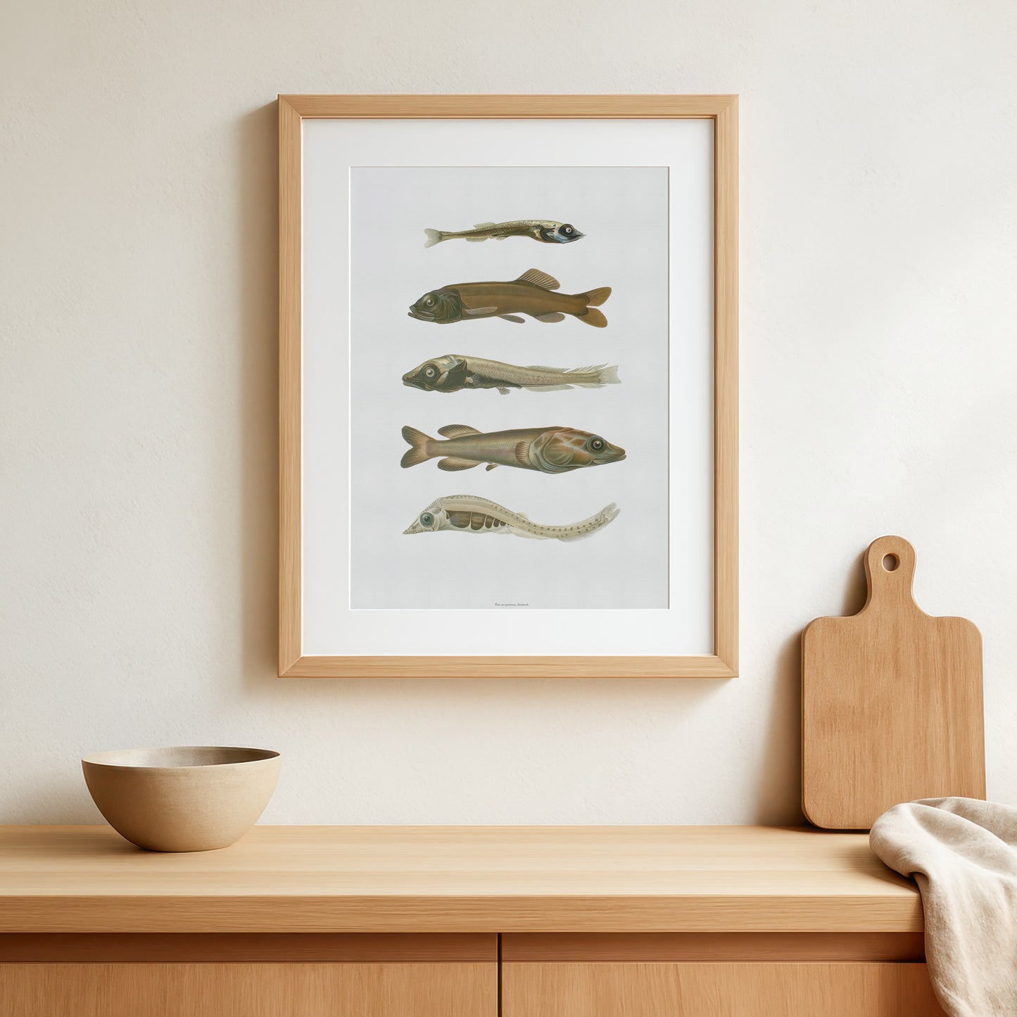 Vintage Dybhavsfisk Plakat - Smooth-Heads og Spøgelsesfisk | Sjældne Fiskearter