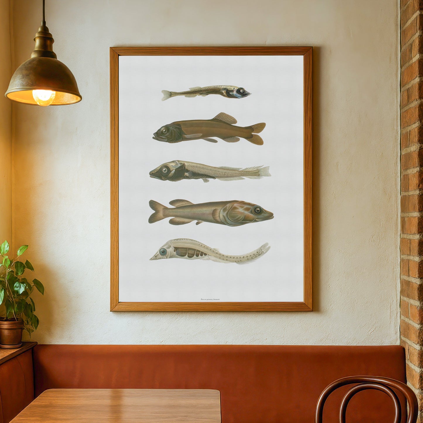 Vintage Dybhavsfisk Plakat - Smooth-Heads og Spøgelsesfisk | Sjældne Fiskearter