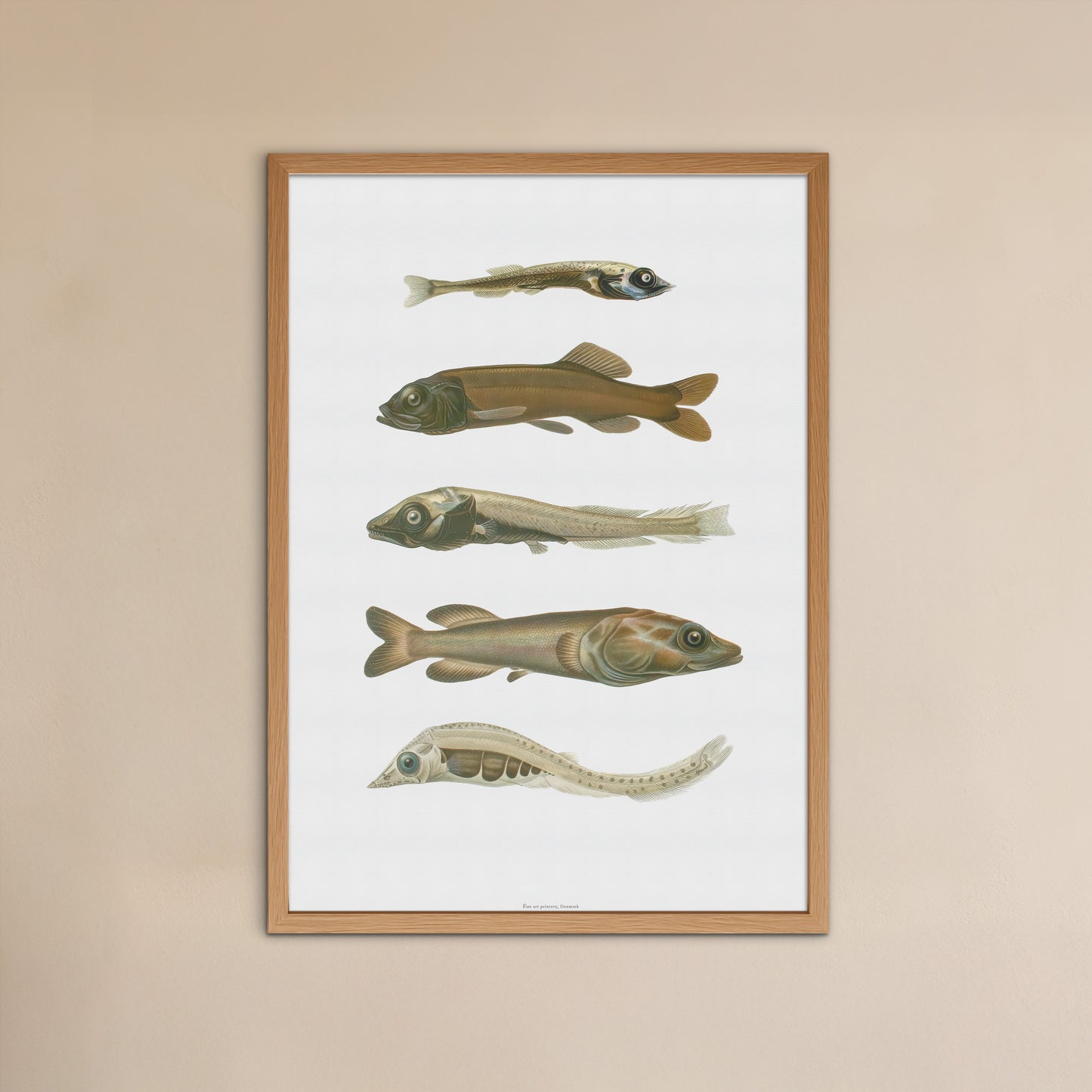 Vintage Dybhavsfisk Plakat - Smooth-Heads og Spøgelsesfisk | Sjældne Fiskearter