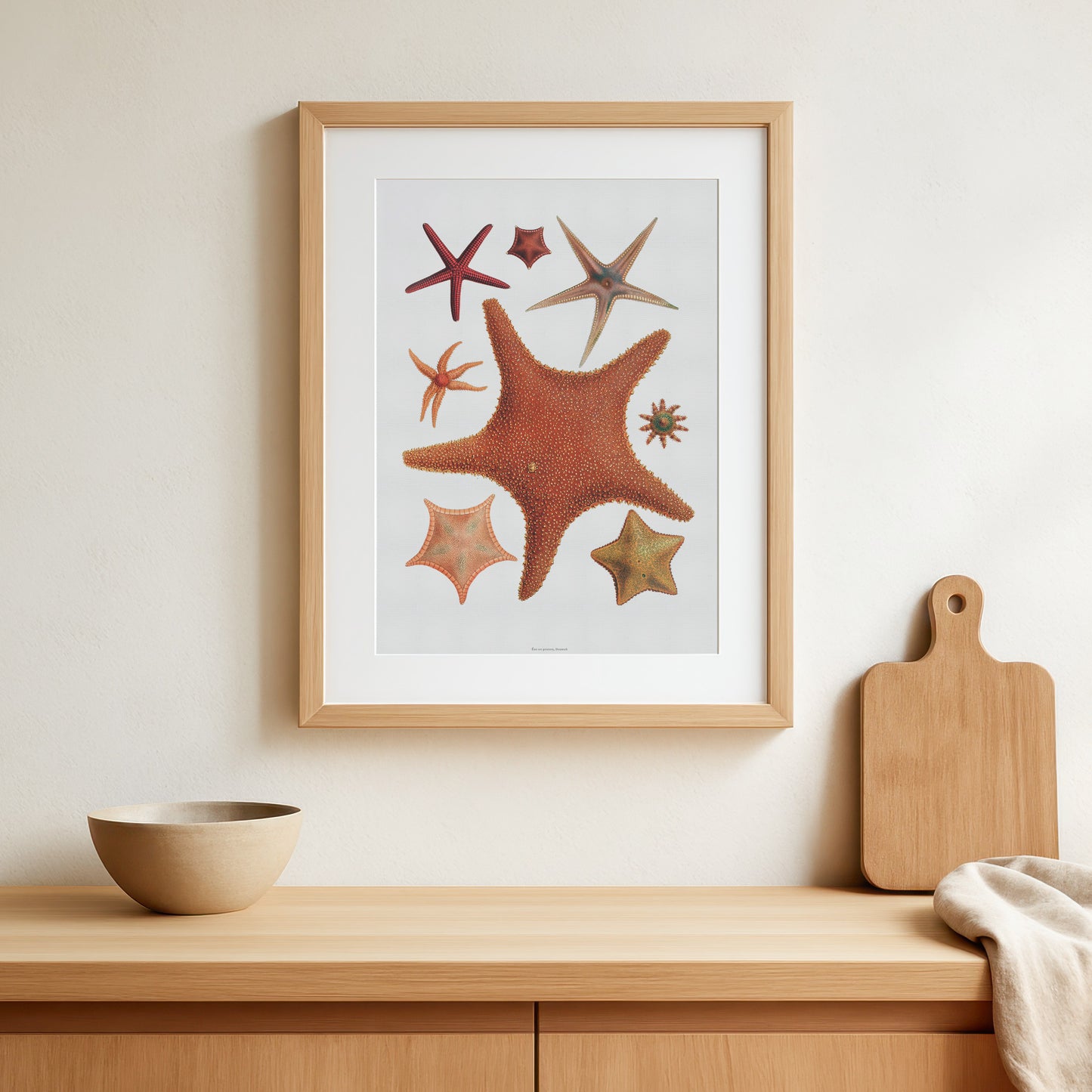 Vintage Søstjerne Plakat - 8 smukke Søstjerner | Maritim Vægkunst