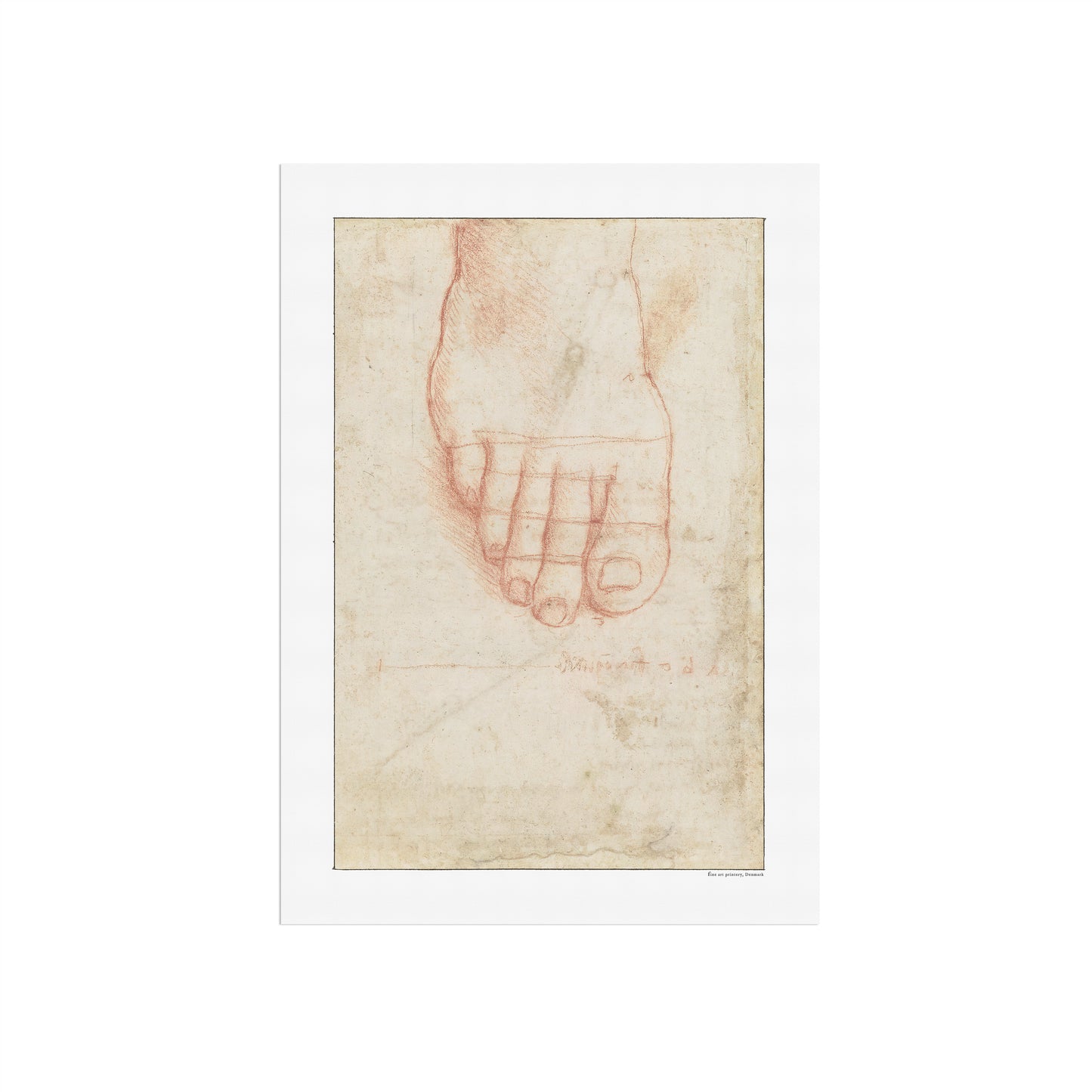 Leonardo da Vinci's Study of a Right Foot