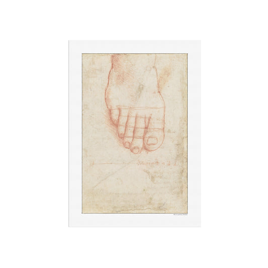 Leonardo da Vinci's Study of a Right Foot