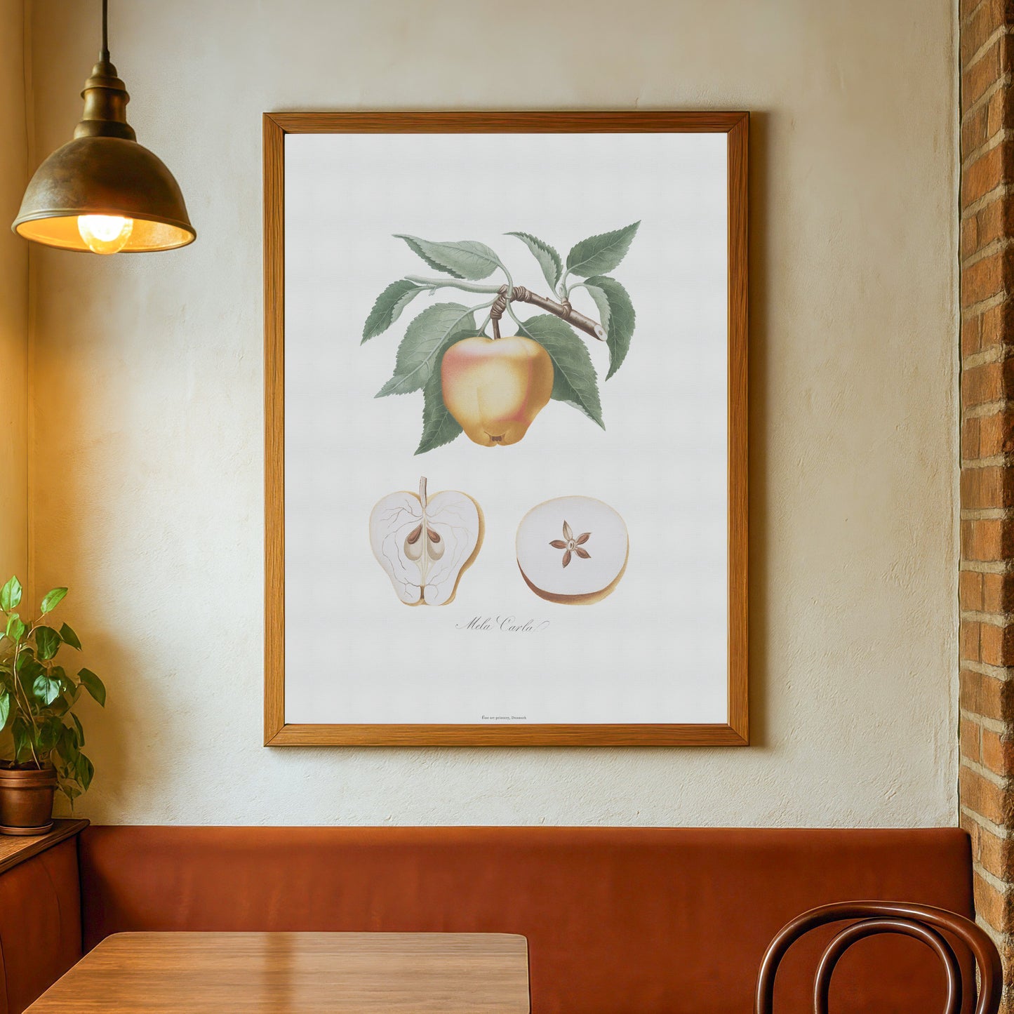 Vintage Æble Plakat - 'Mela Carla' fra Pomona Italiana (1817-1839) | Botanisk Kunst