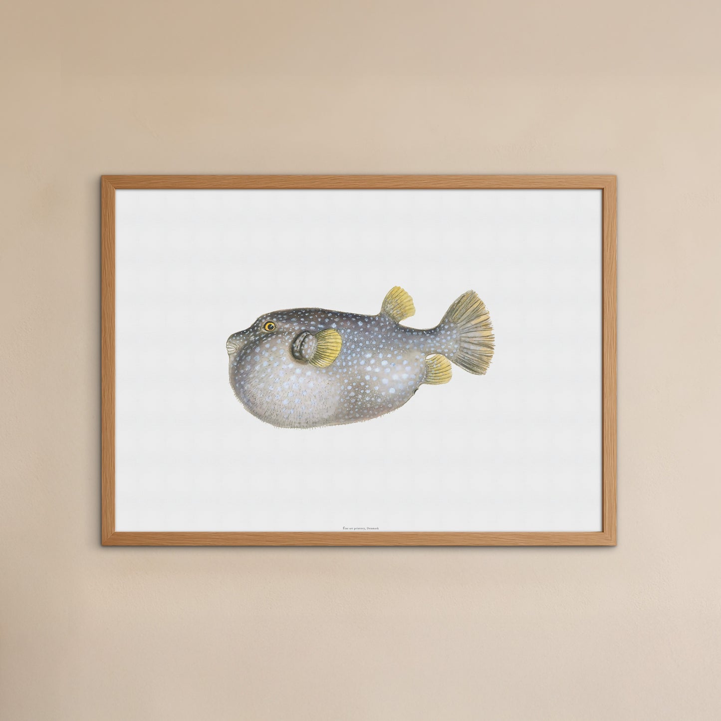 Zoologisk Plakat - Plettet Kuglefisk (Arothron hispidus) - Vintage Illustration (1838)