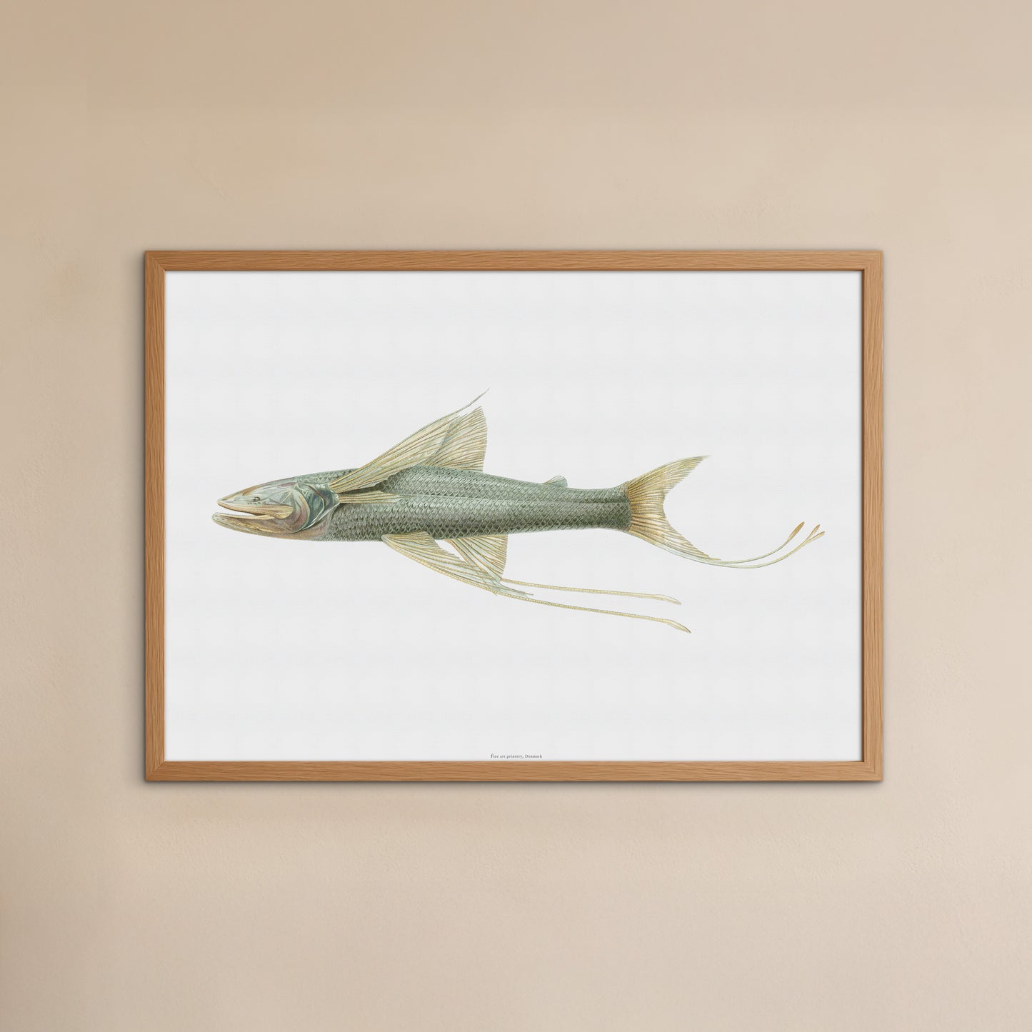 Vintage Trefodsfisk Plakat - Bathypterois viridensis (1919) | Dybhavs Plakat