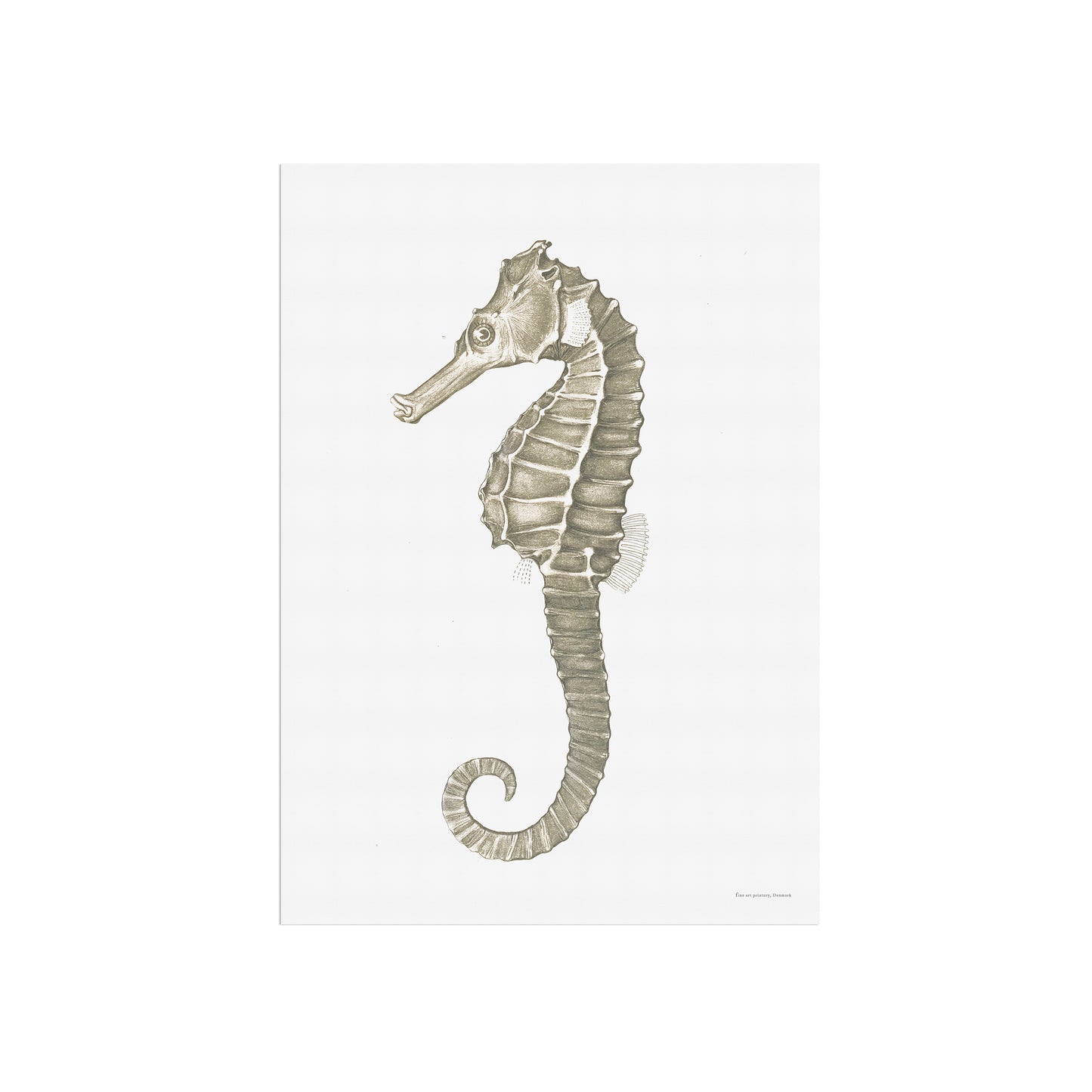 Hippocampus kuda - The seahorse