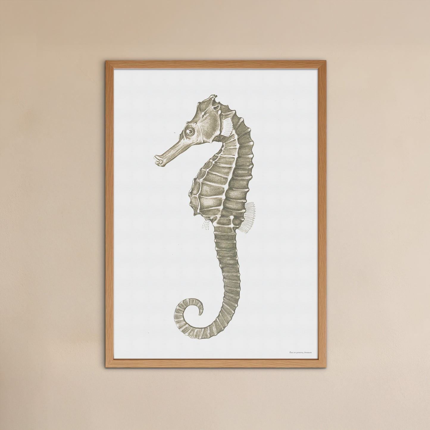 Hippocampus kuda - The seahorse