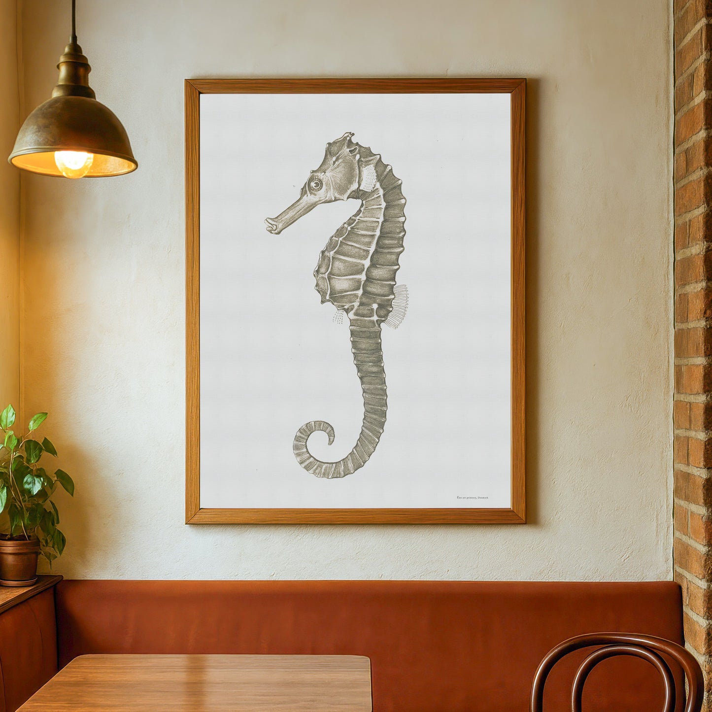 Hippocampus kuda - The seahorse