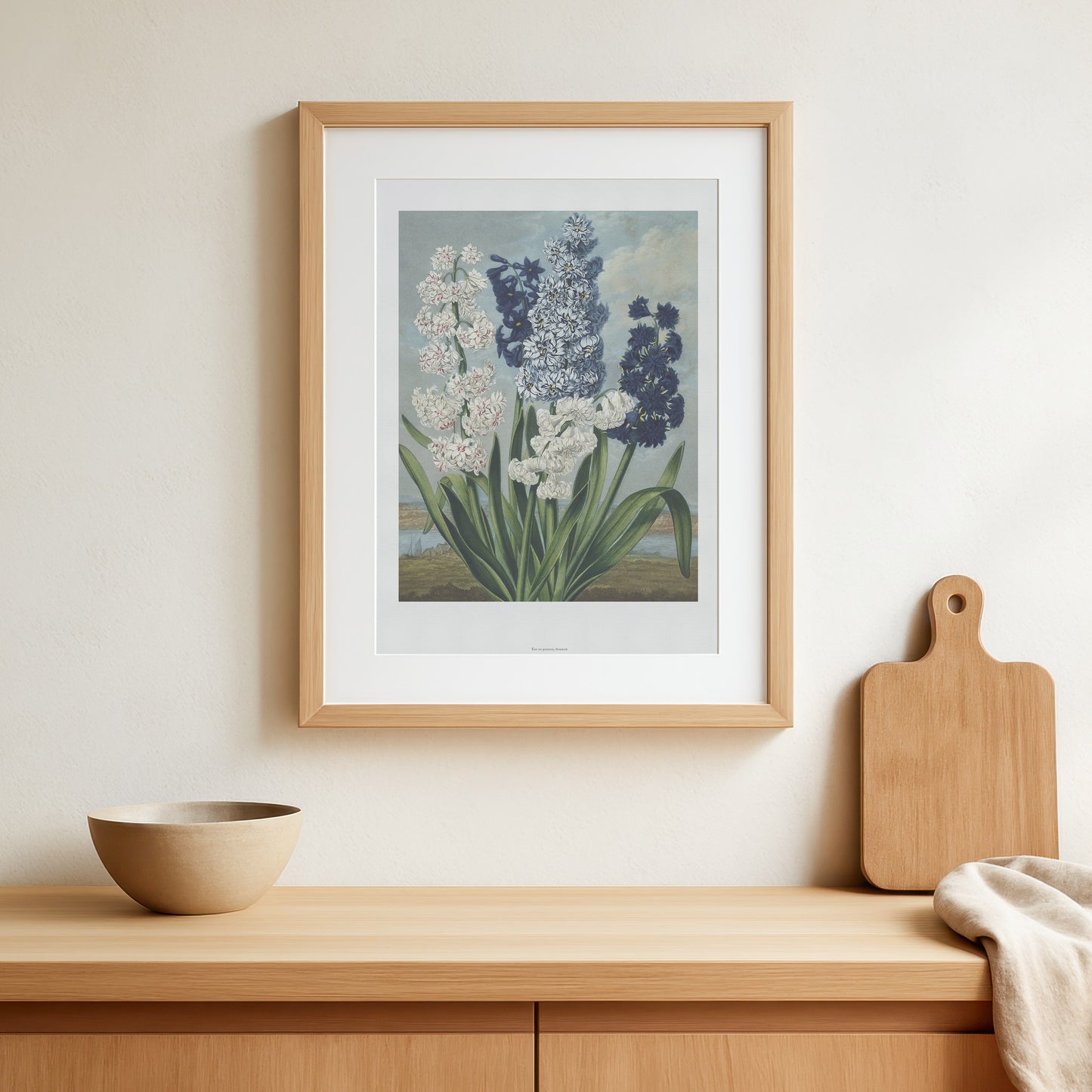 Vintage Hyacint Plakat - Hyacinths from The Temple of Flora (1837) | Robert John Thornton