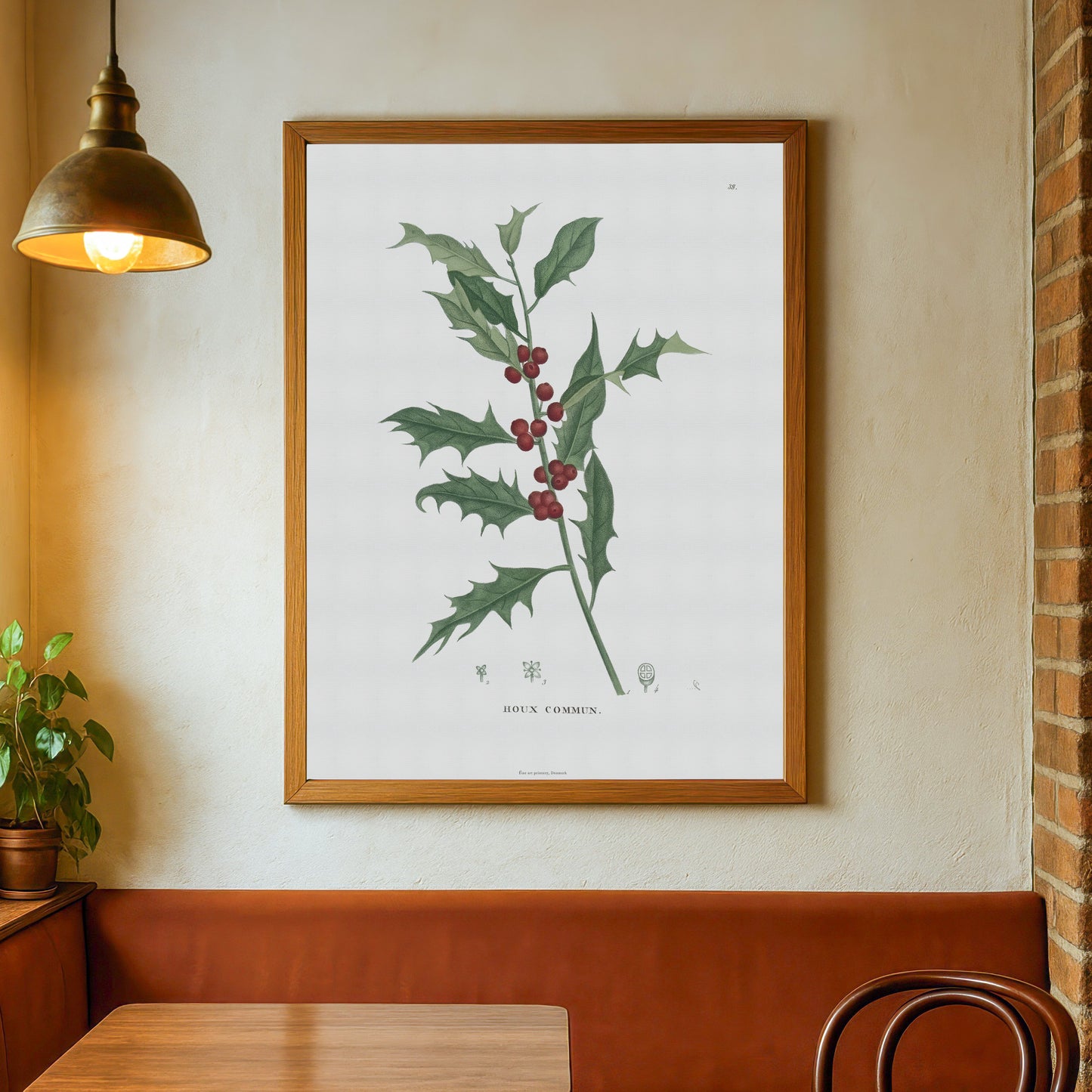 Botanisk Plakat - Kristtorn (Ilex aquifolium) - Fra 1824