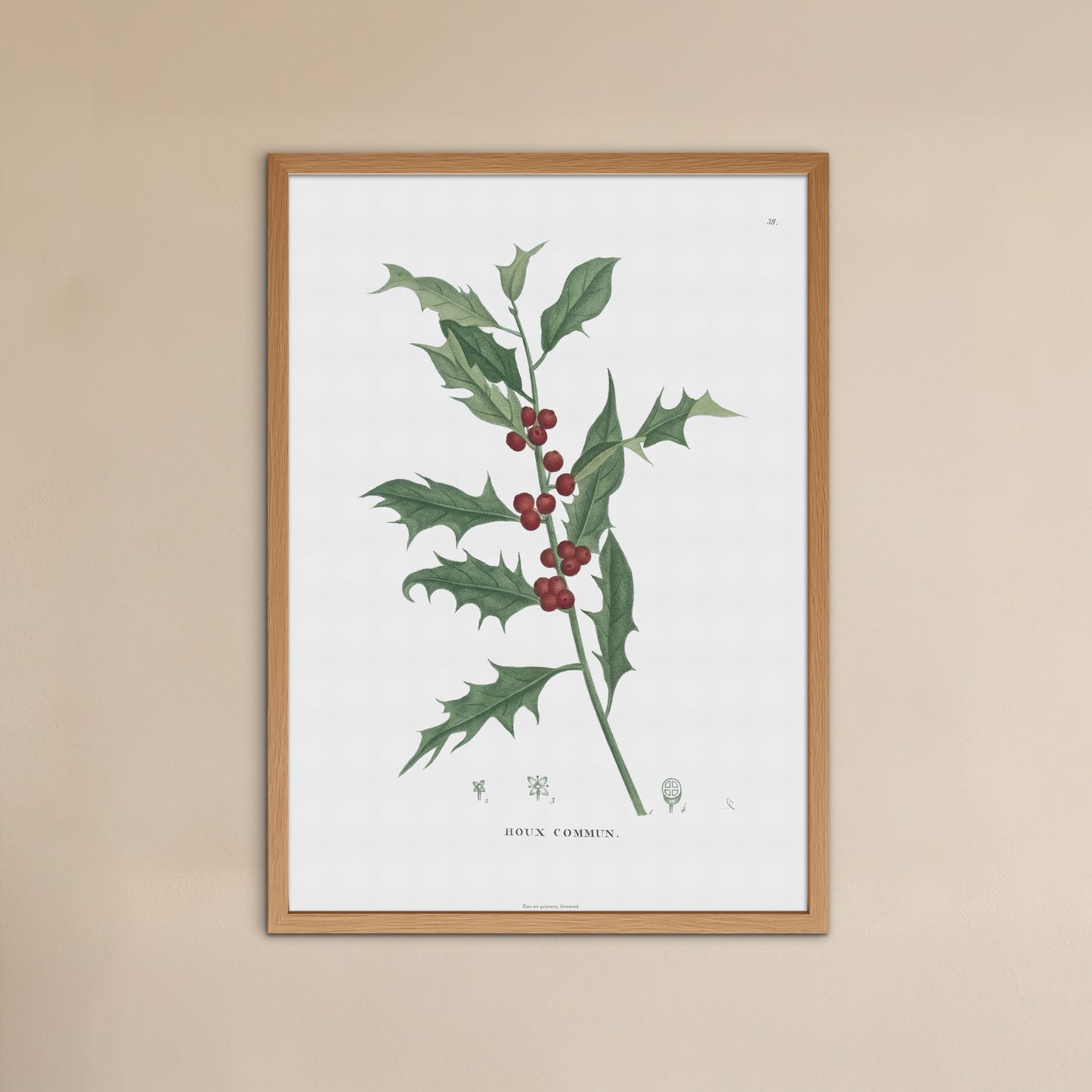 Botanisk Plakat - Kristtorn (Ilex aquifolium) - Fra 1824