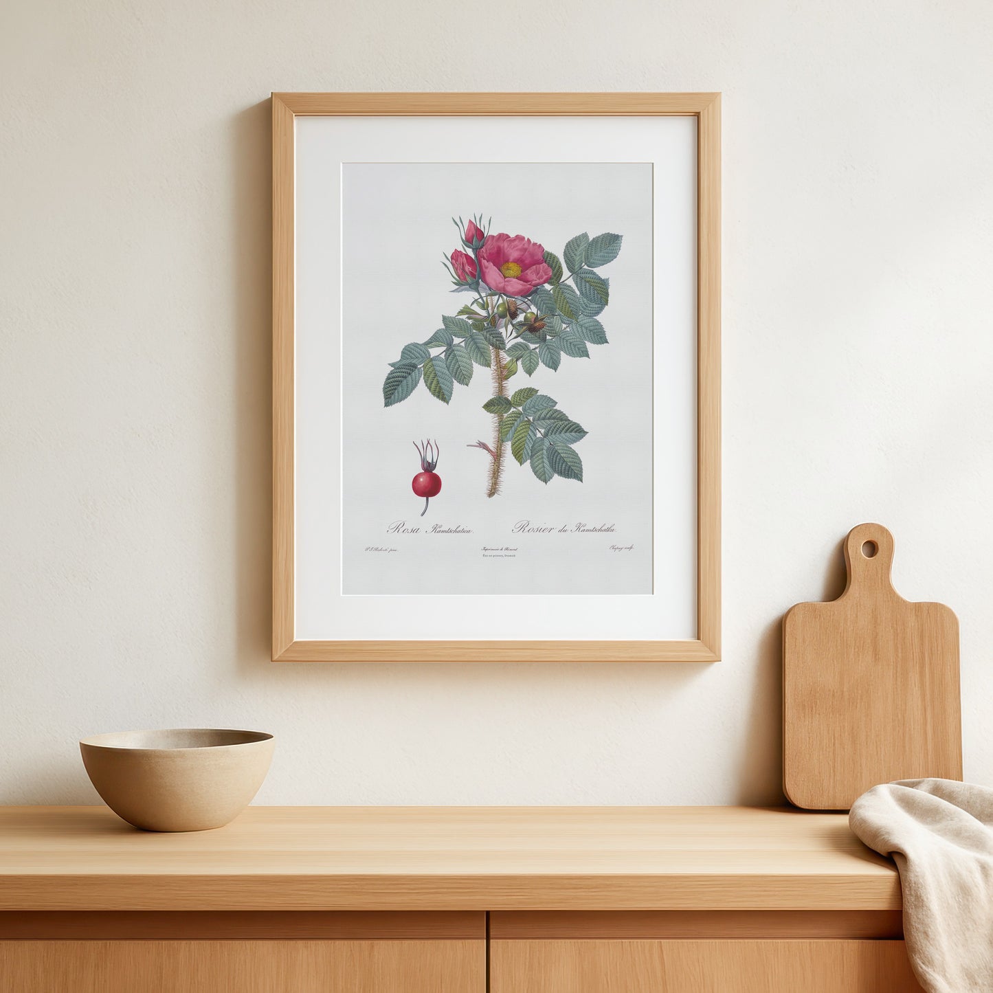 Vintage Kamtschatka Rose Plakat - Rosier de Kamtschatka | Pierre-Joseph Redouté Botanisk Kunst