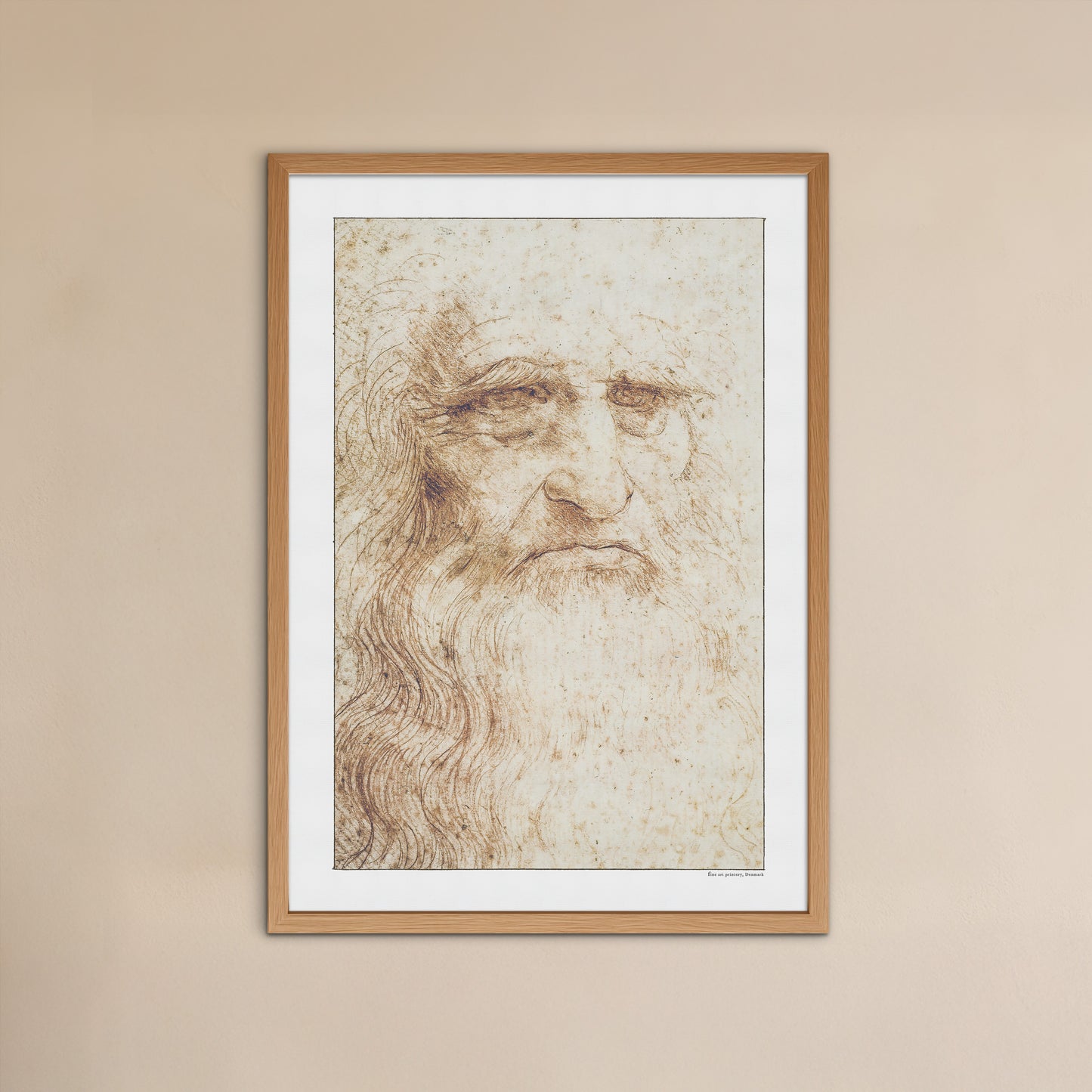 Leonardo da Vinci's self-portrait