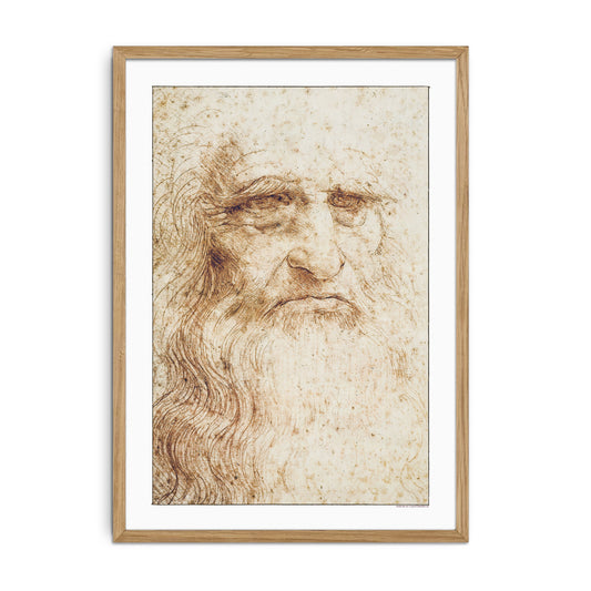 Leonardo da Vinci's self-portrait