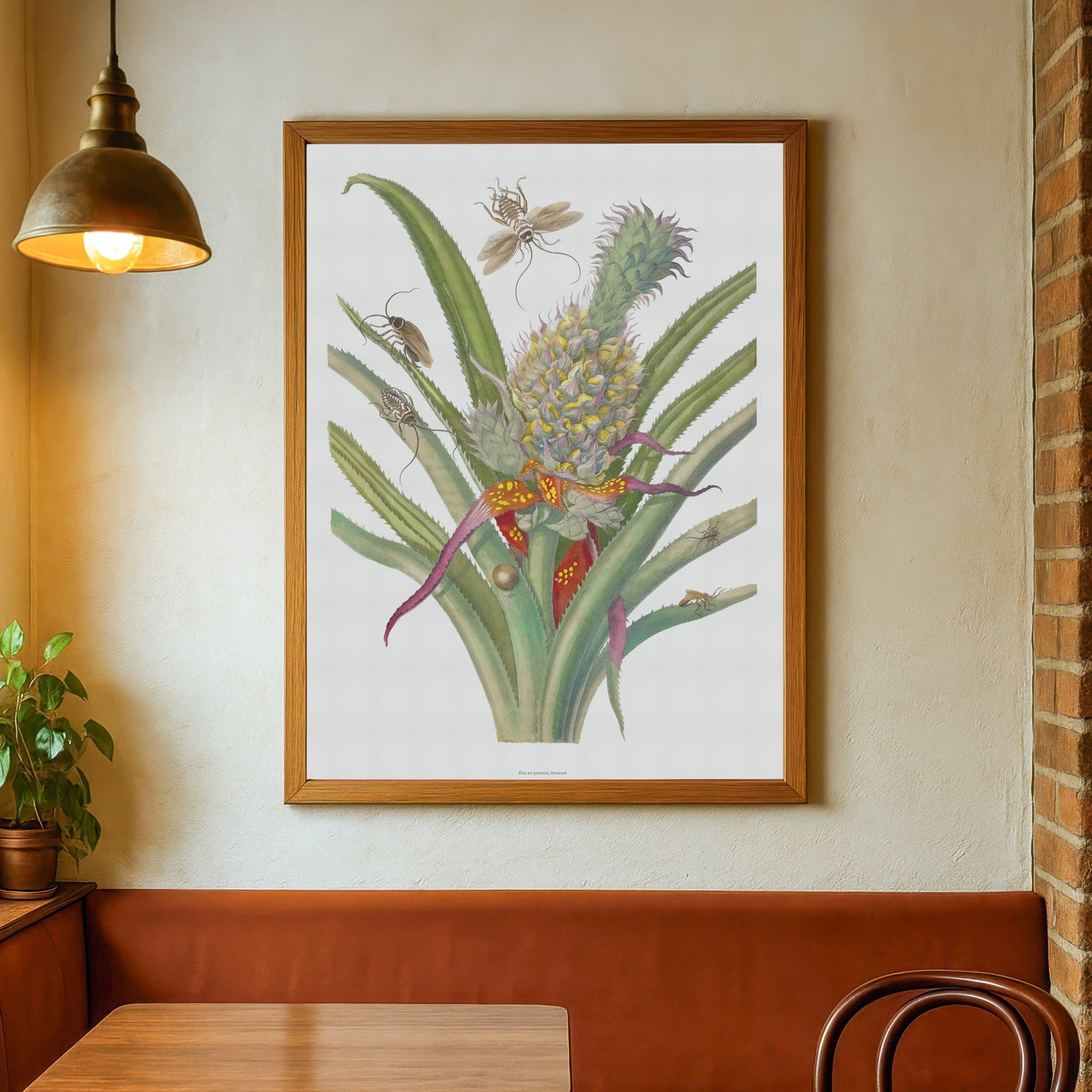 Vintage Ananas med insekter Plakat - Maria Sibylla Merian | Botanisk og Entomologisk Kunst