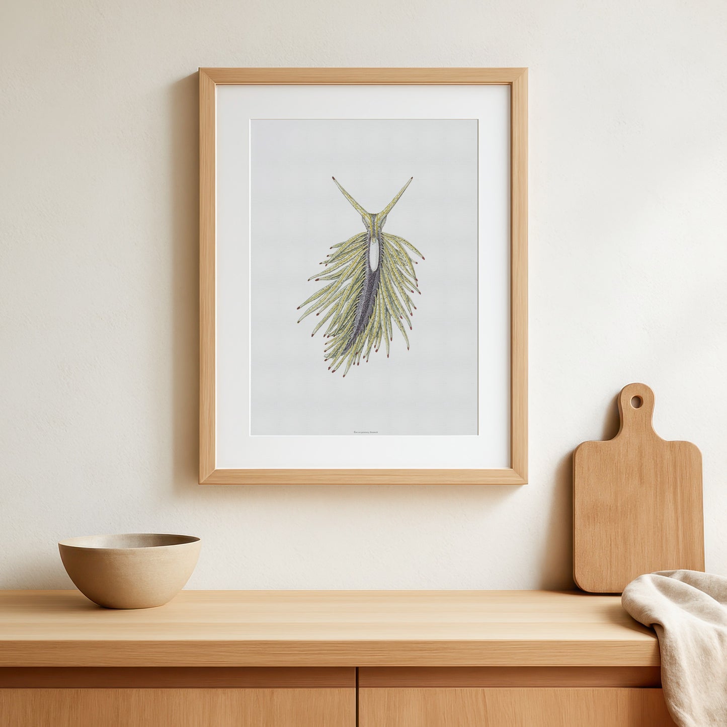 Zoologisk Plakat - Havsnegl (Placida tardyi) - Vintage Illustration fra 1877