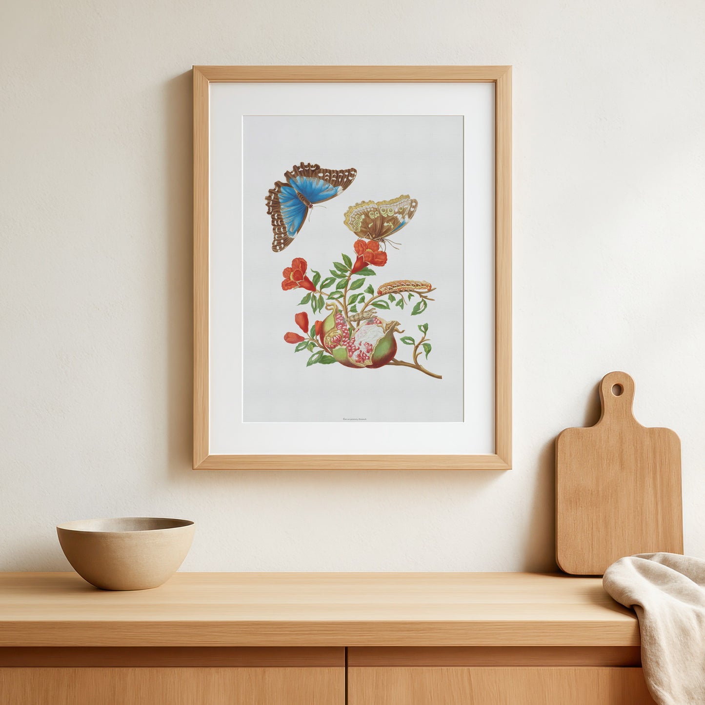 Vintage Granatæble og Sommerfugl Plakat - Maria Sibylla Merian | Botanisk Vægkunst