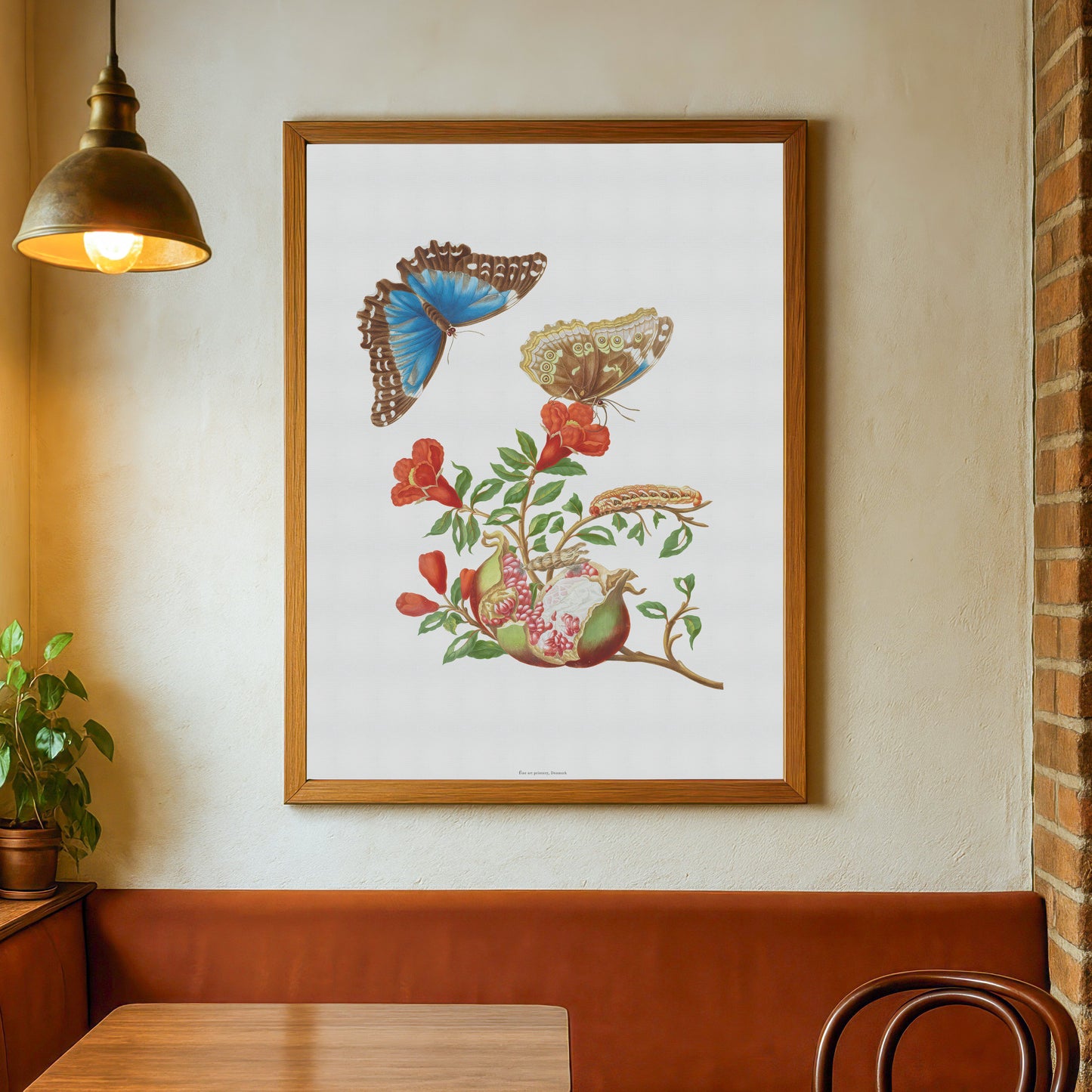 Vintage Granatæble og Sommerfugl Plakat - Maria Sibylla Merian | Botanisk Vægkunst