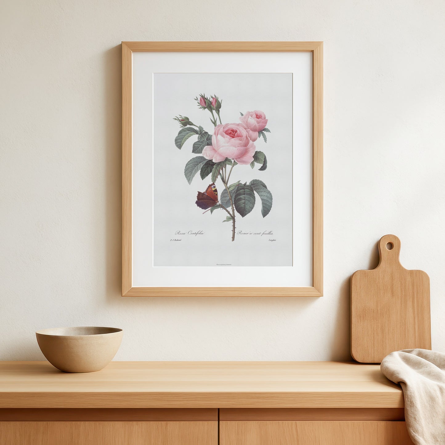 Vintage Rose Plakat - Centifolia Rose og Sommerfugl | Pierre-Joseph Redouté Botanisk Kunst