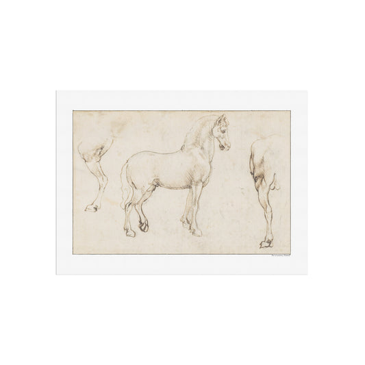 Leonardo da Vinci's Studies of Horses