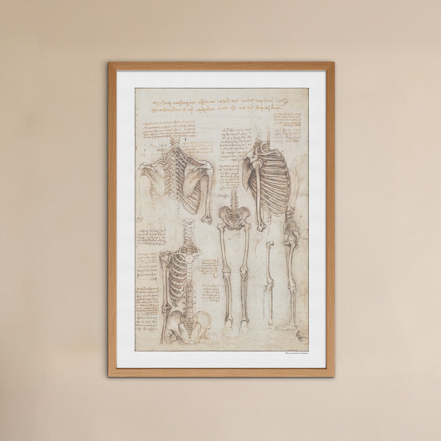 Leonardo da Vinci's Study of the Skeleton