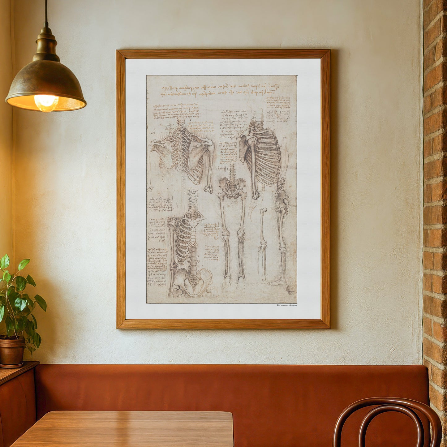 Leonardo da Vinci's Study of the Skeleton