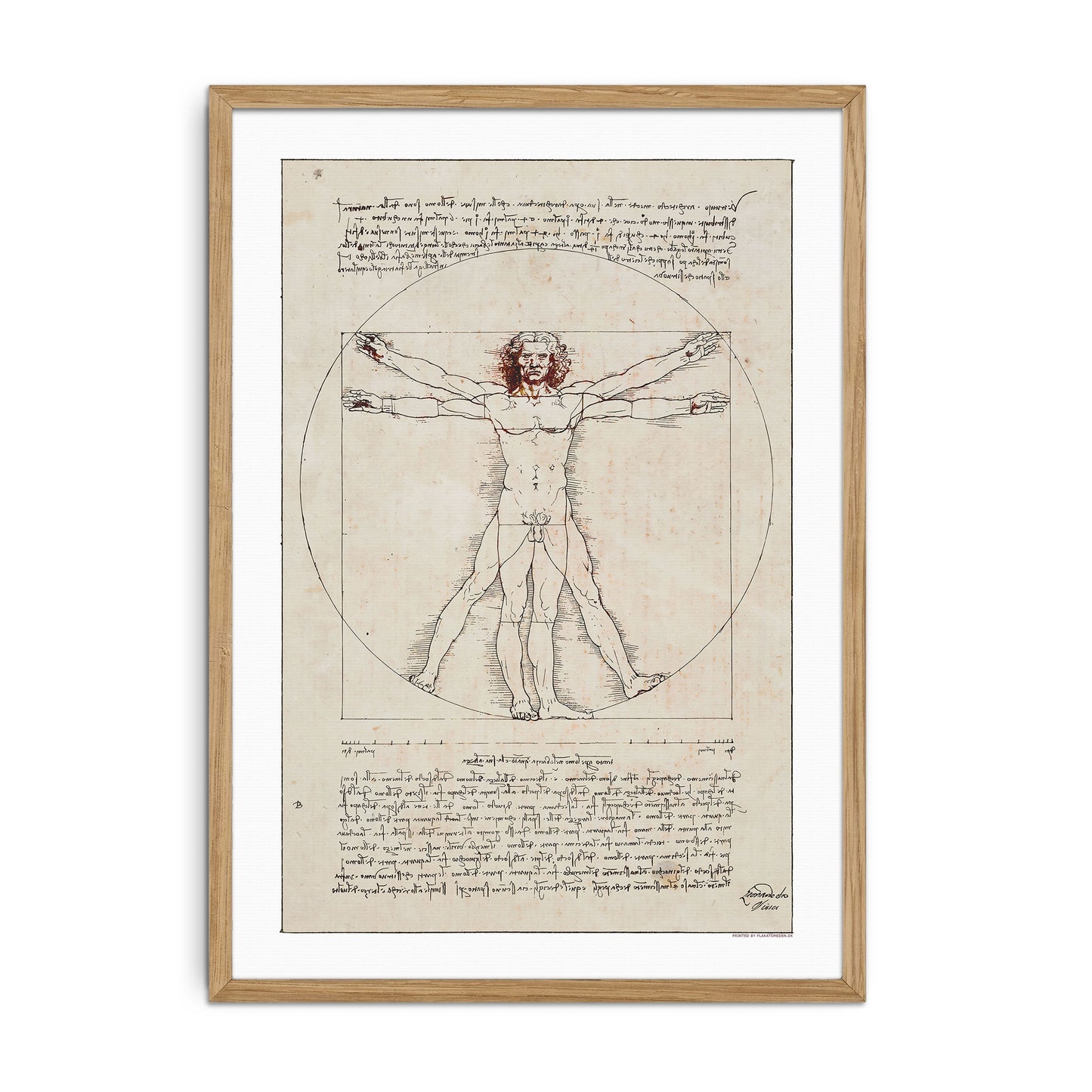 Leonardo da Vinci's Vitruvian Man