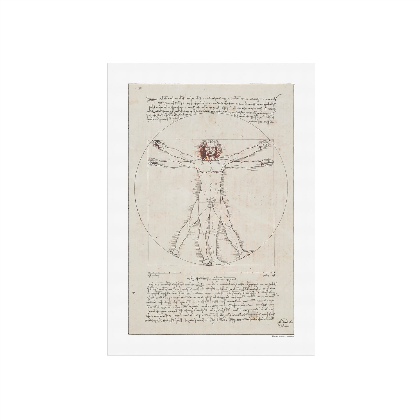 Leonardo da Vinci's Vitruvian Man