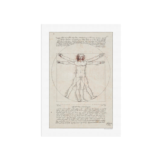Leonardo da Vincis Vitruvianske Mand