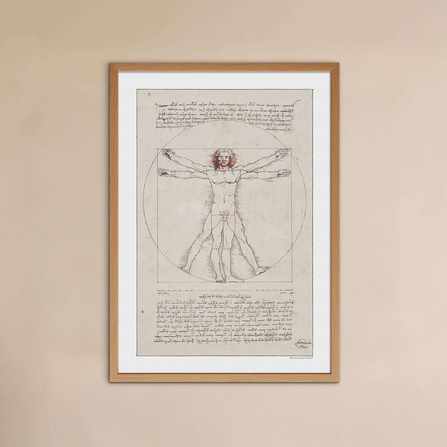 Leonardo da Vinci's Vitruvian Man